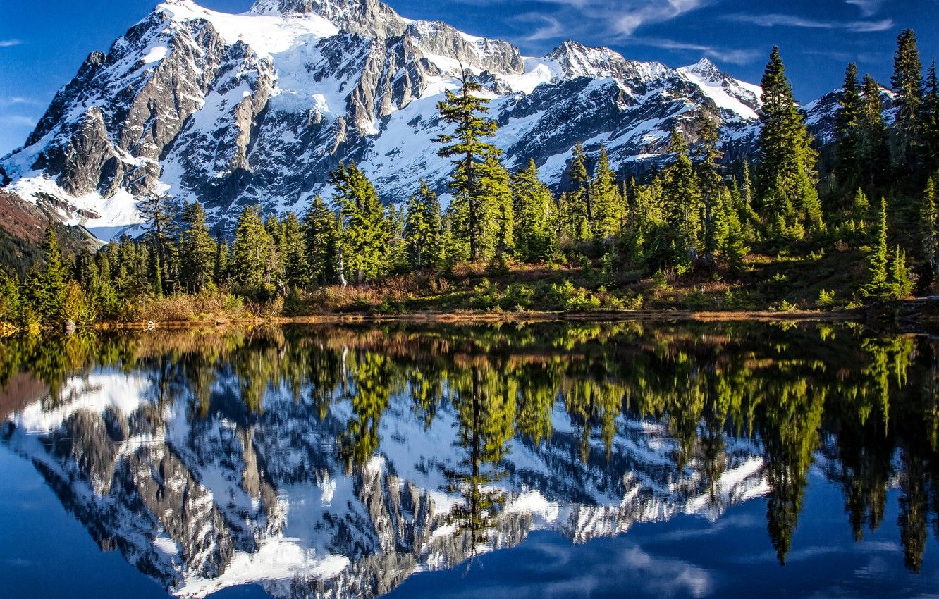 Wallpaper forest, trees, mountains, lake, reflection, Mountain