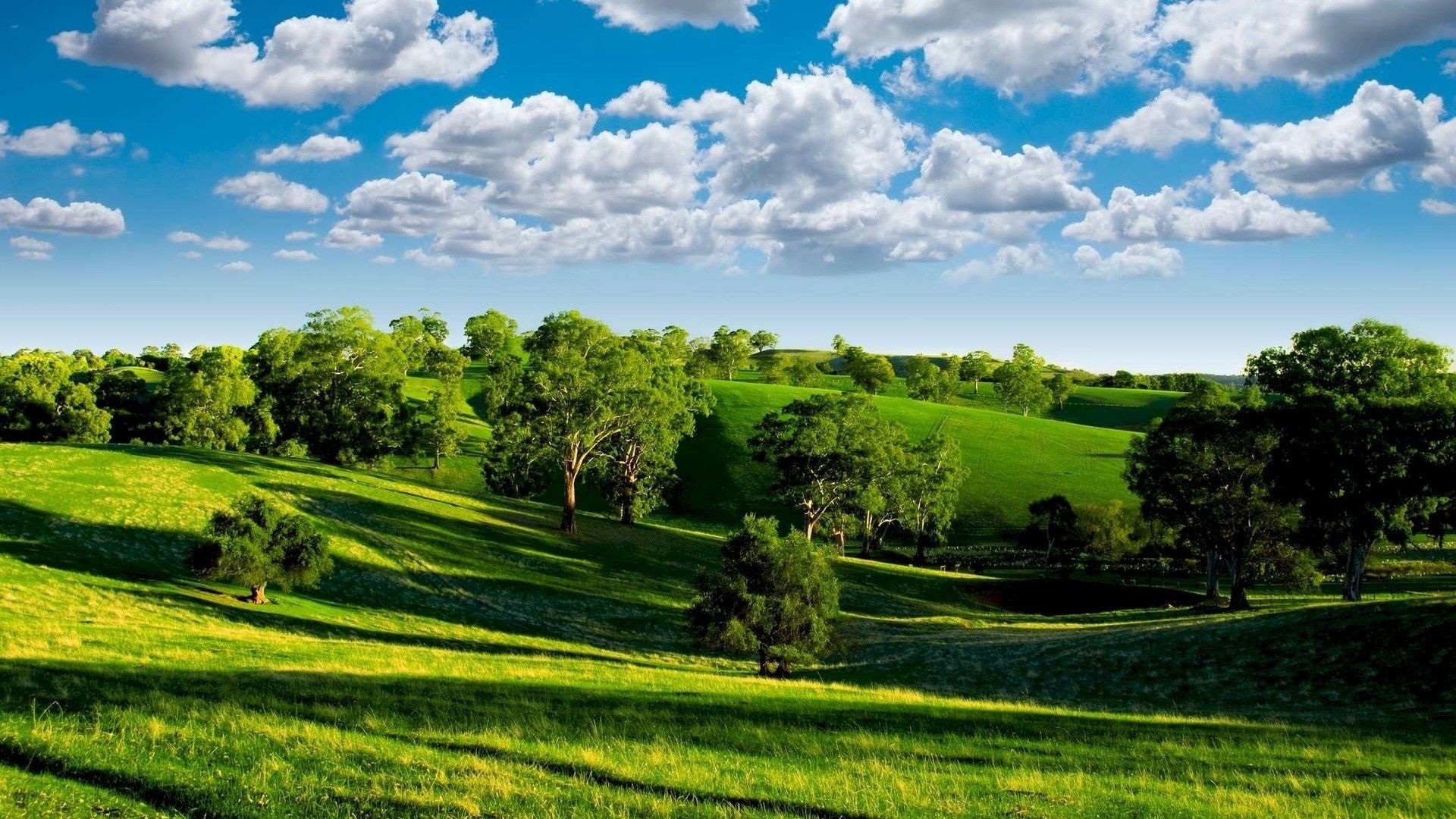 Wallpaper for Desktop Summer