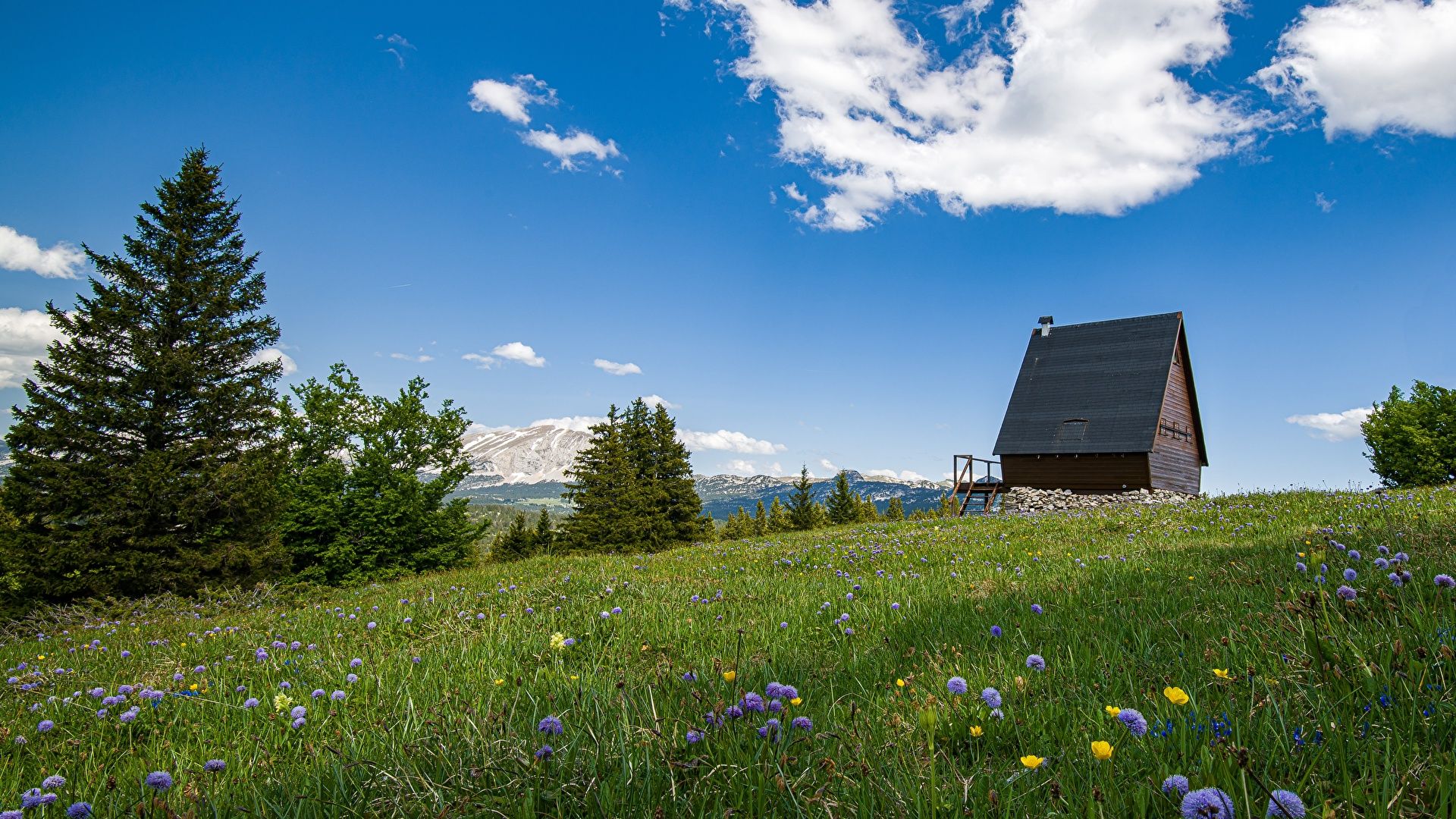 Wallpaper Alps France Vercors Massif Nature Summer 1920x1080
