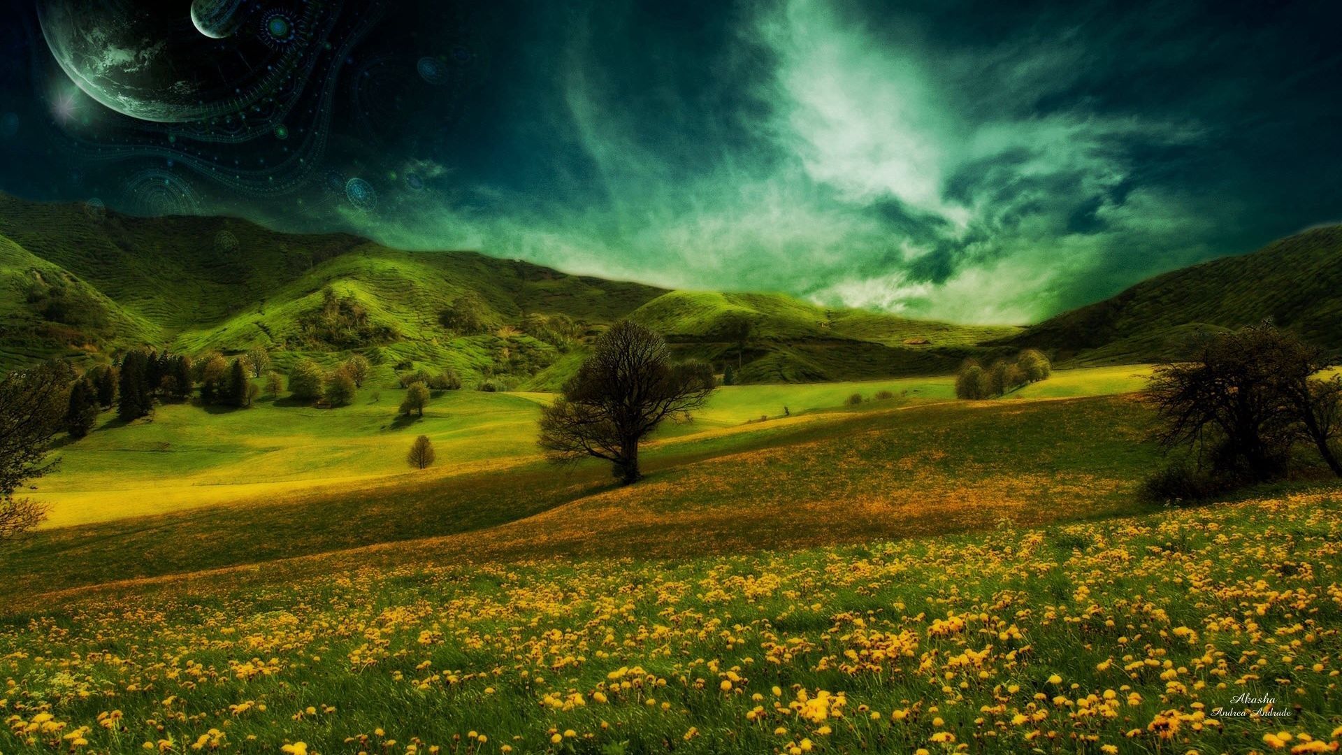 Download wallpaper 1920x1080 meadow, nature, summer, grass, sky