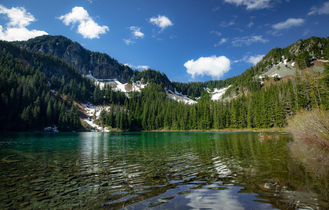 Wallpaper forest, mountains, lake, The cascade mountains