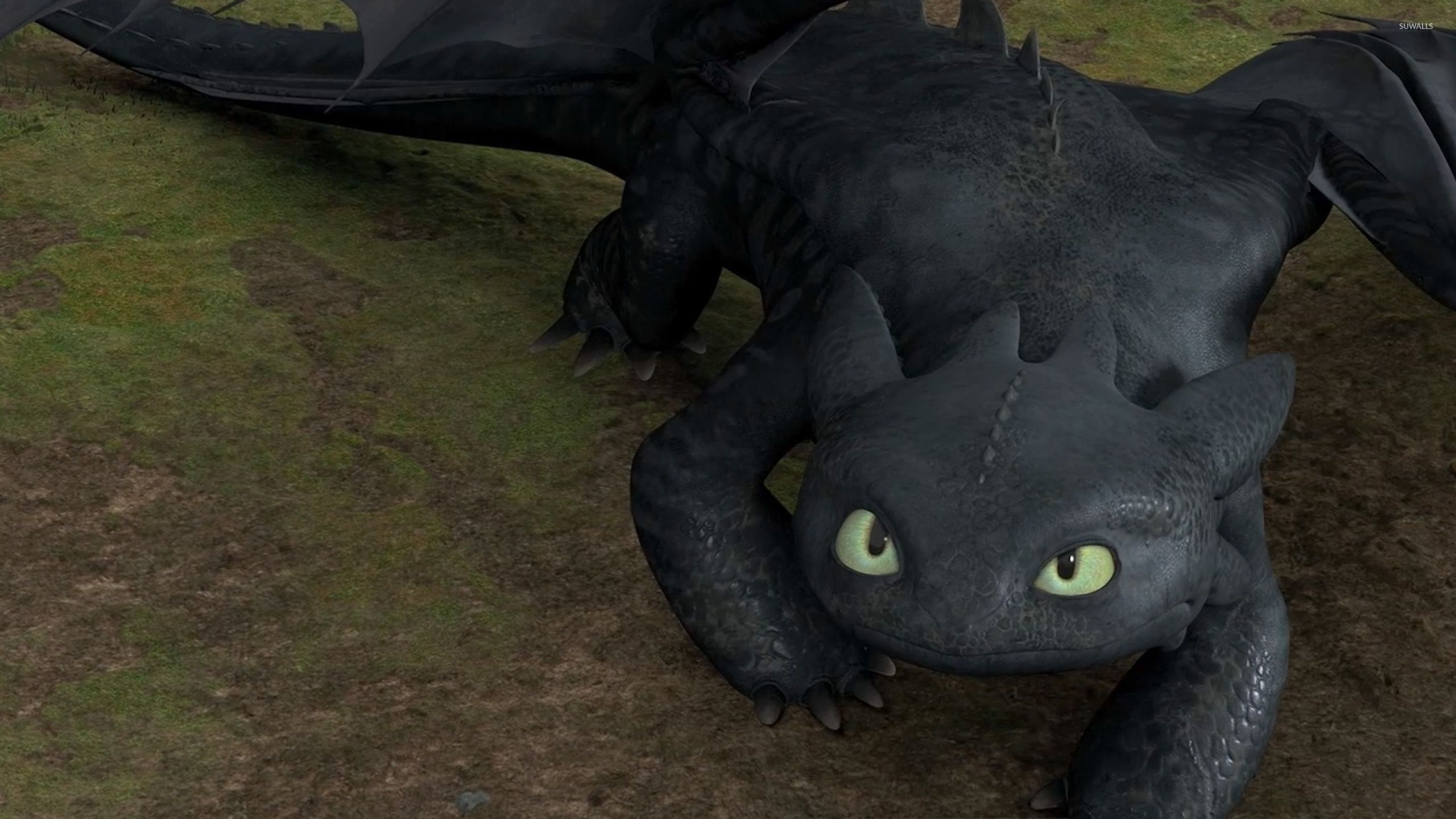 Toothless in How to Train Your Dragon wallpaper wallpaper