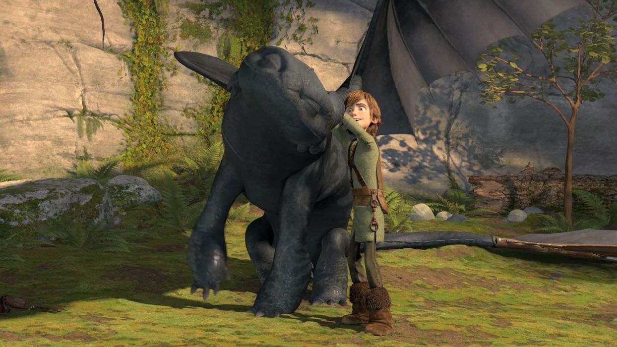 Toothless How to Train Your Dragon Hiccup wallpaperx1080