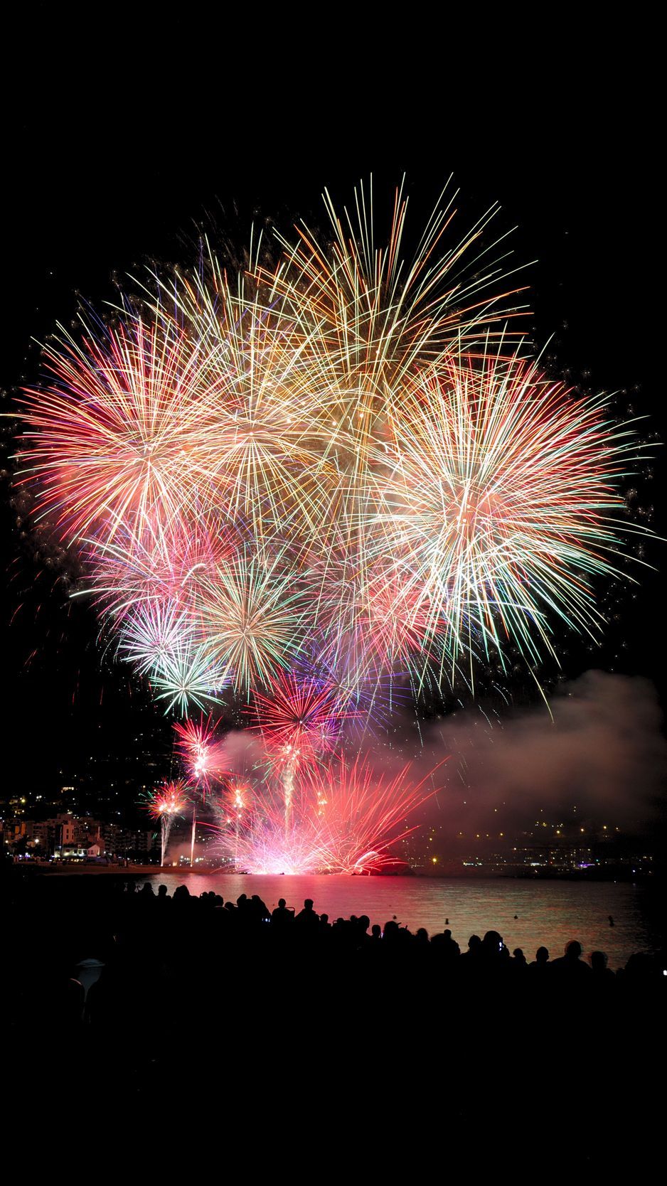 Download wallpaper 938x1668 salute, fireworks, celebration, sparks