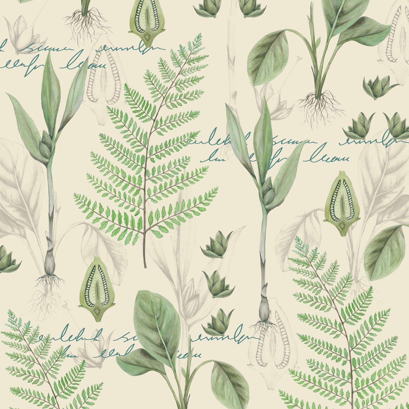 Botany Wallpaper Free Botany Background