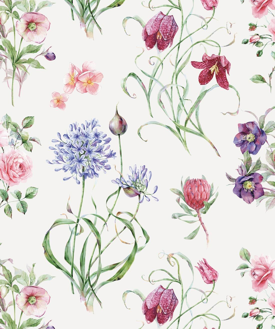 Botanical, Watercolor Foral Motif Wallpaper