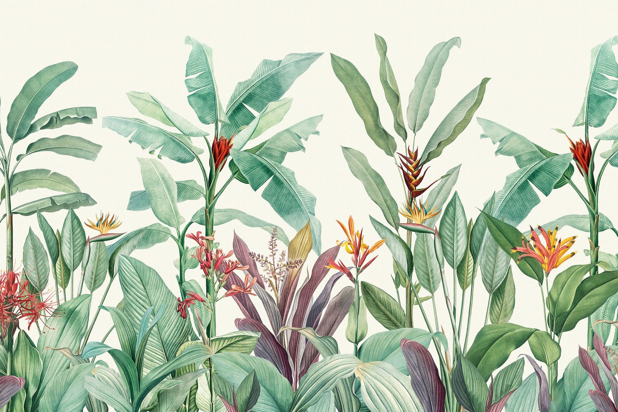 These Beautiful Wall Murals Are Inspired By The Botanical Illustrations Of Pierre Joseph Redouté