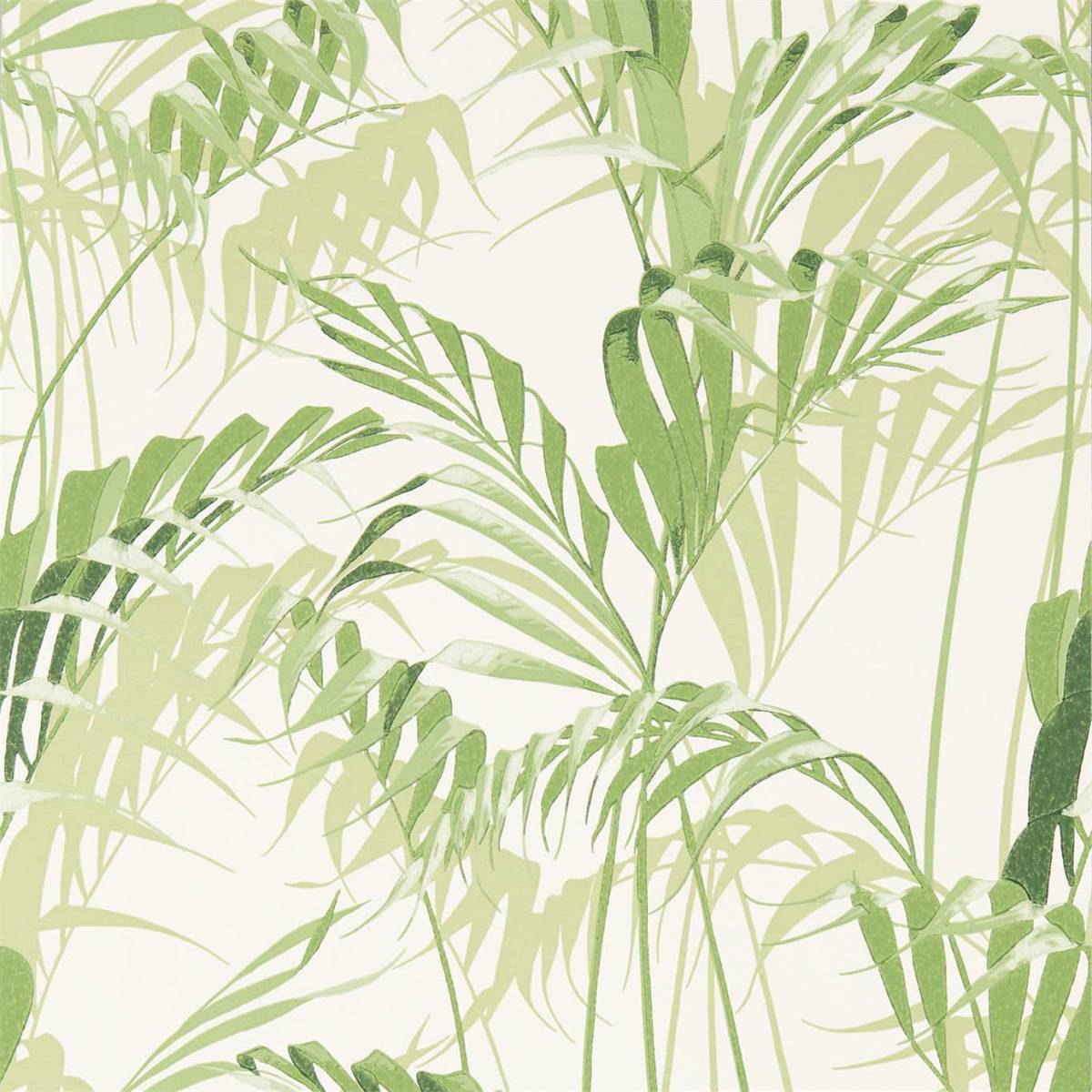 Palm House Wallpaper Green