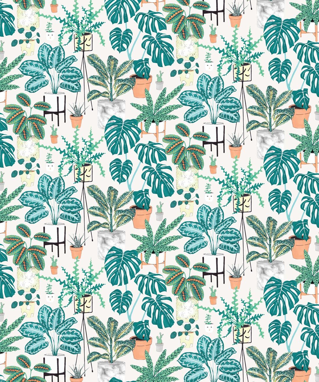 House Plants • Bright & Bold Botanical Wallpaper