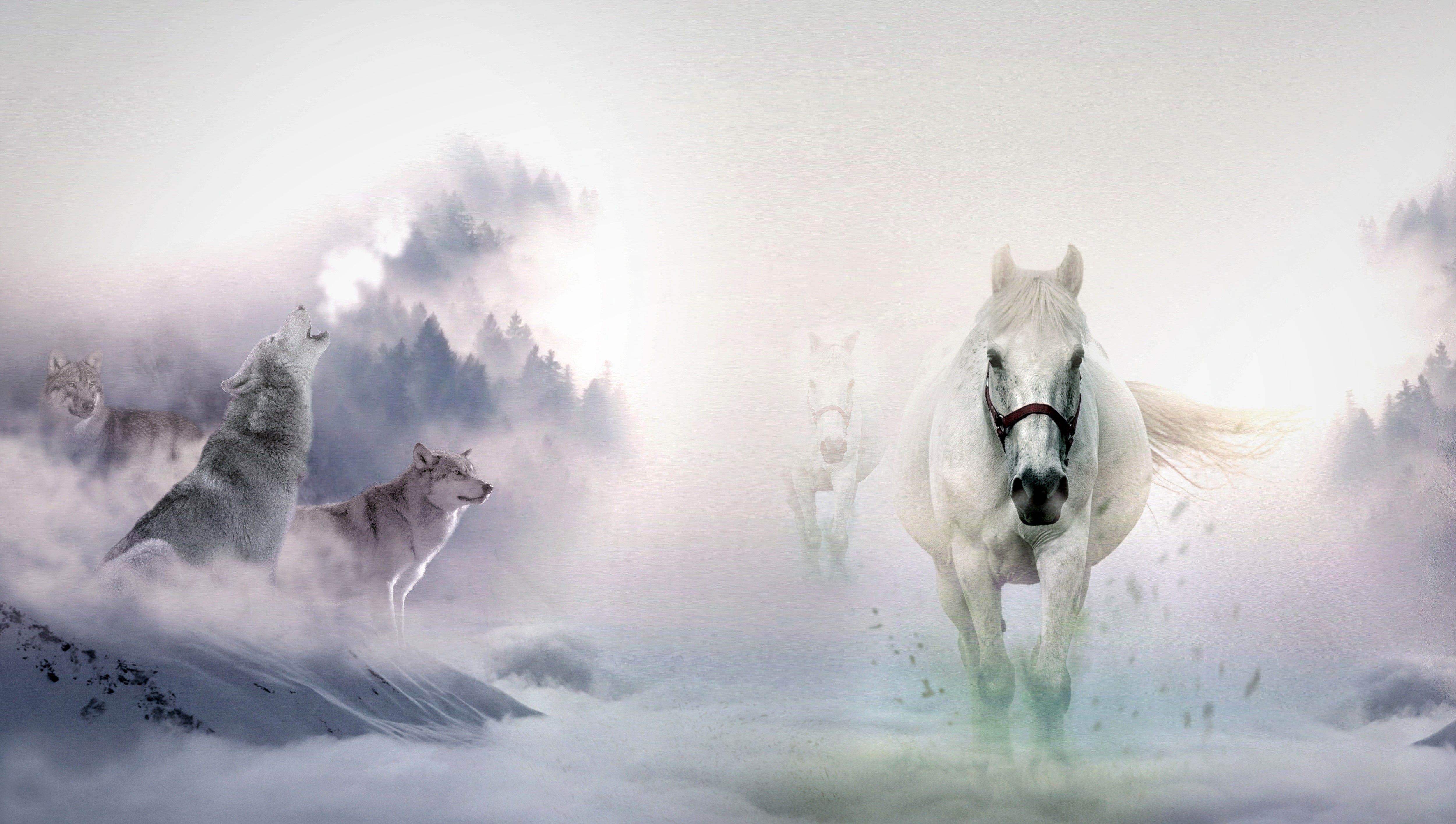 Horses and Wolves Wallpaper Free Horses and Wolves