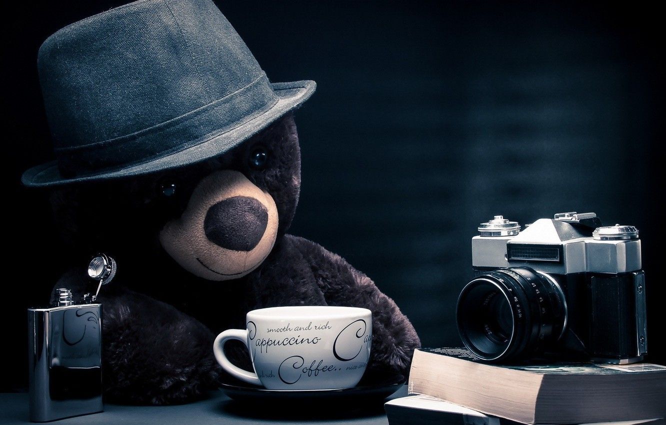 Wallpaper fantasy, bear, hat, photographer, camera, blue