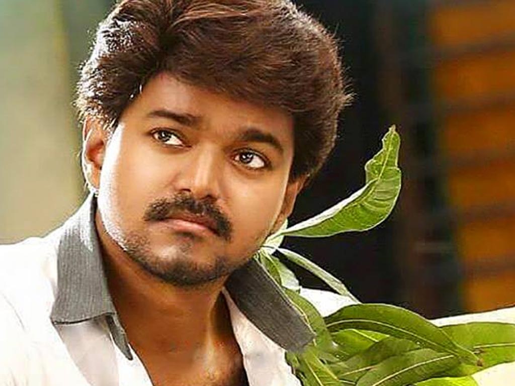 Vijay (Tamil Actor) HQ Wallpaper. Vijay (Tamil Actor) Wallpaper