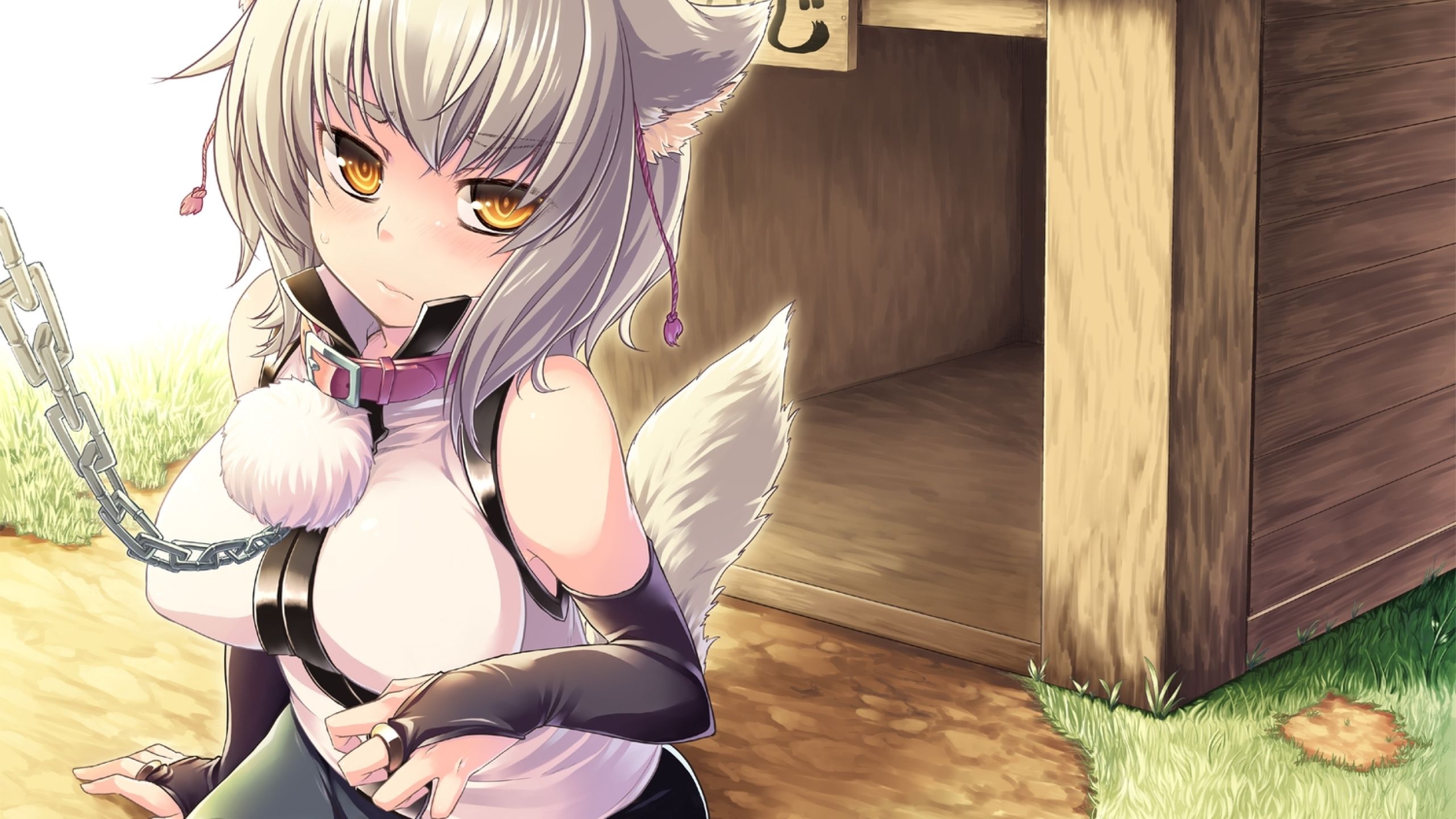 inubashiri momiji, luliao, touhou 1440P Resolution