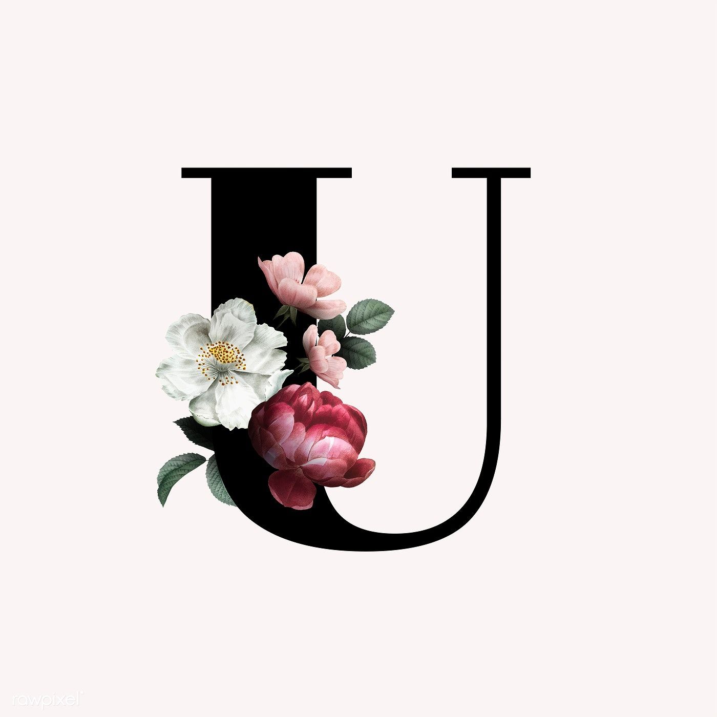Classic and elegant floral alphabet font letter U vector. free