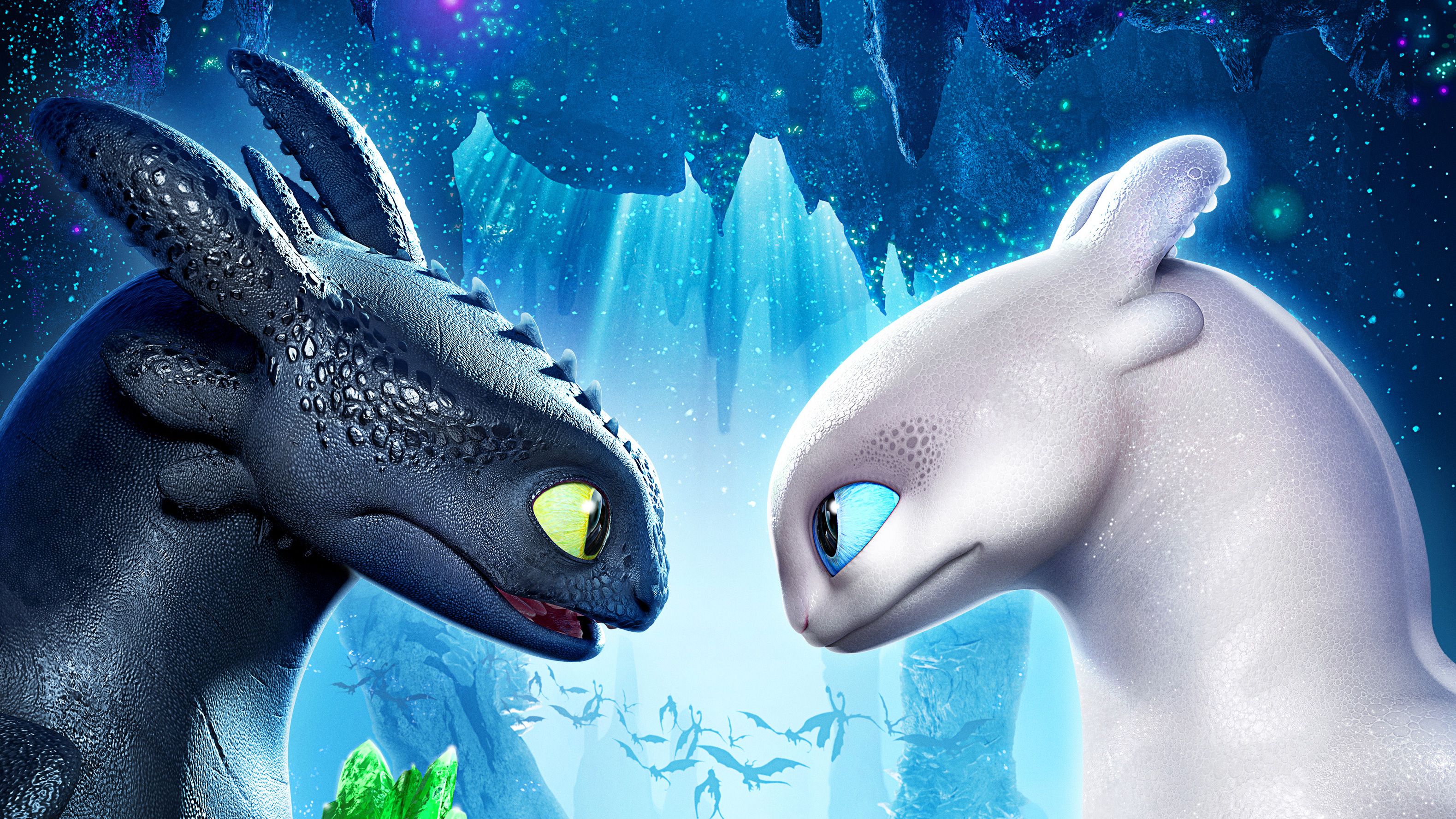 Toothless With His Girlfirend Night Fury 4k, HD Movies, 4k