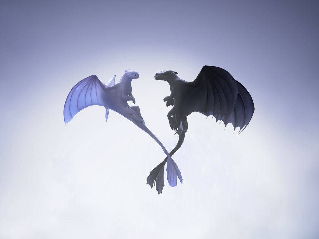 Night And Light Fury Wallpaper and Background Image