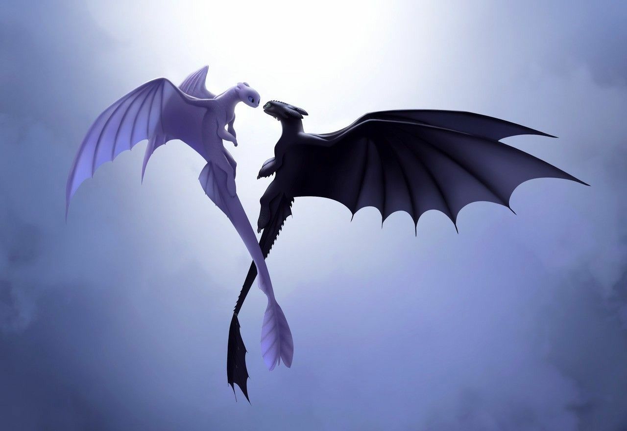 Featured image of post Toothless And Light Fury Flying Together In the hidden world toothless grows closer to the light fury with the same technique
