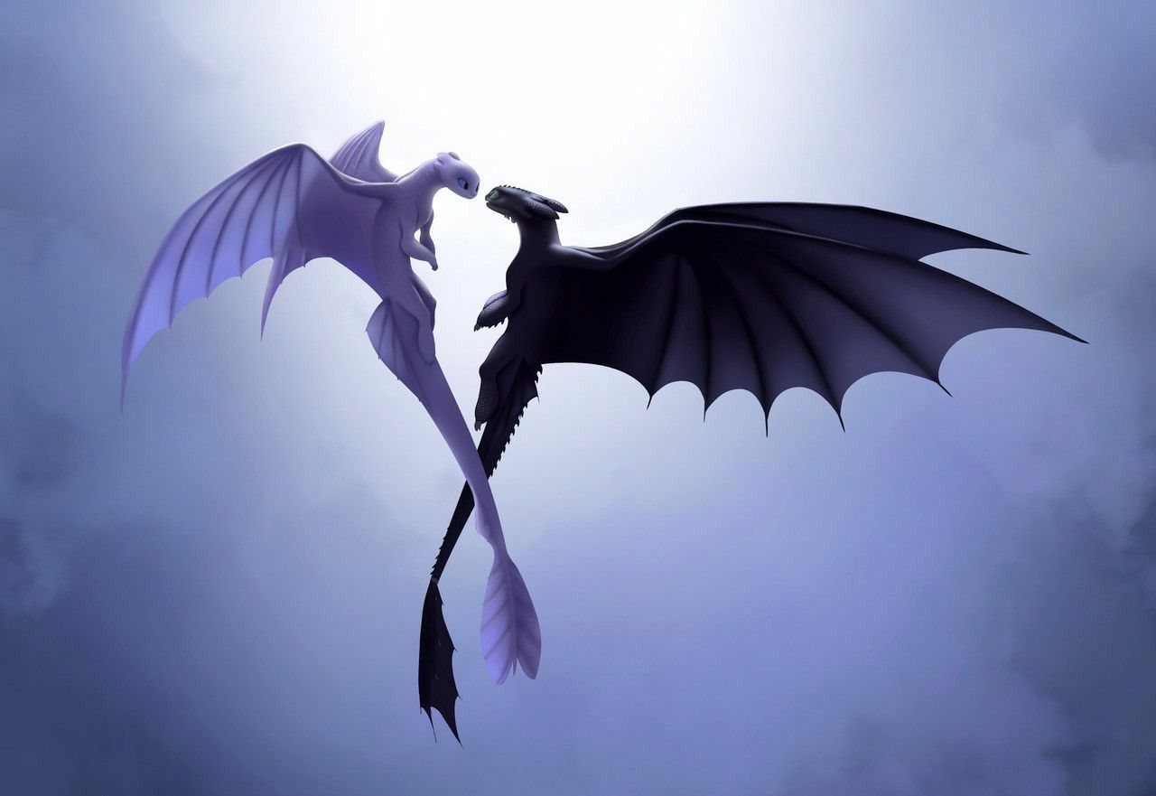 Toothless X Light Fury Wallpaper