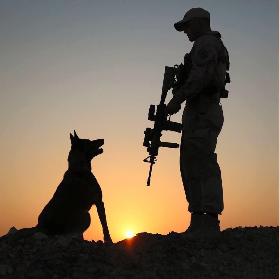Dutch soldier and a K9 during deployment in Iraq 2016. (959x960). Military dogs, Army dogs, Military drawings