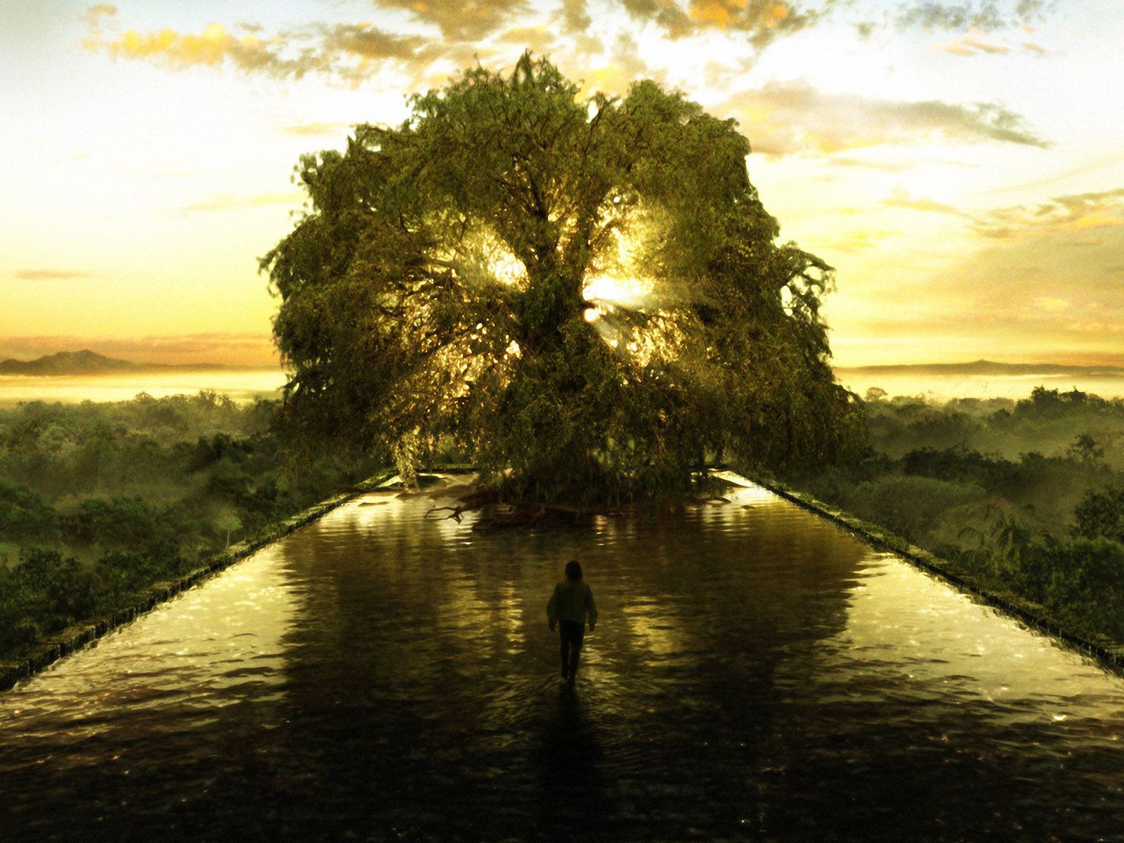 The Tree Of Life wallpaper, Movie, HQ The Tree Of Life picture