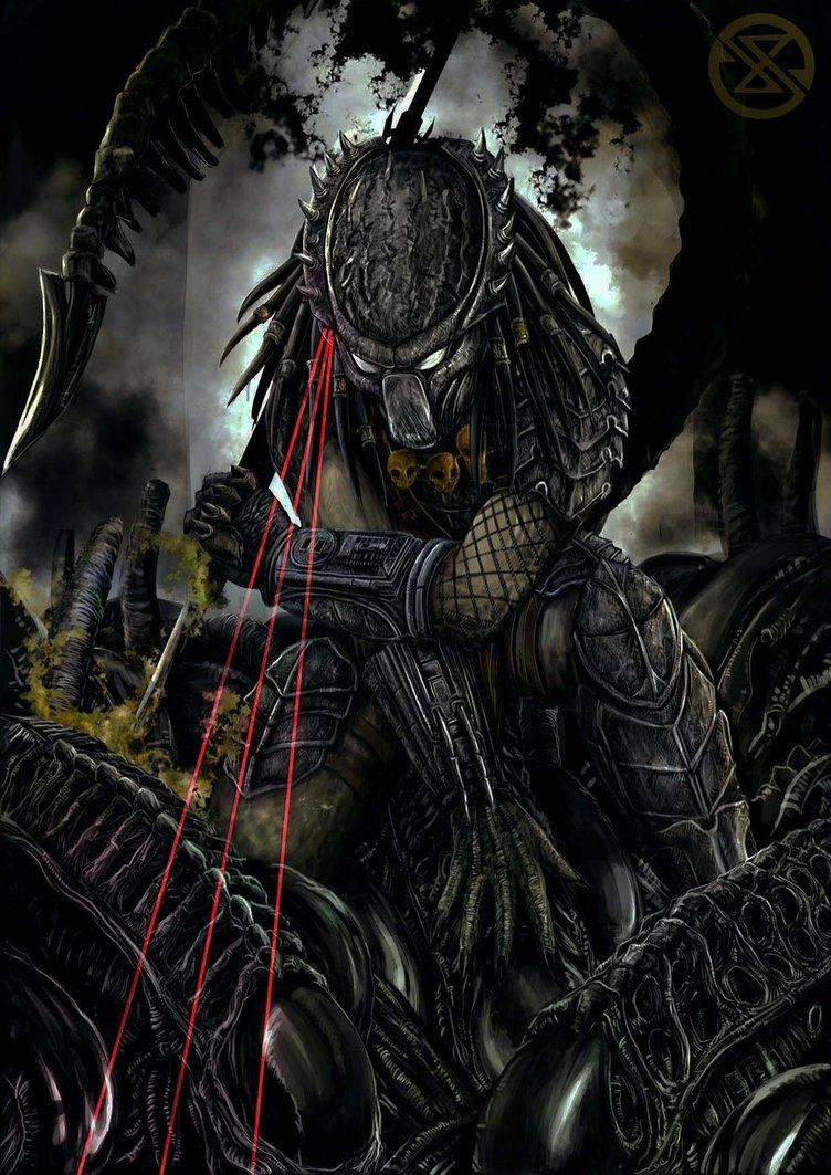 Predator Wallpaper HD Wallpaper 752x1063