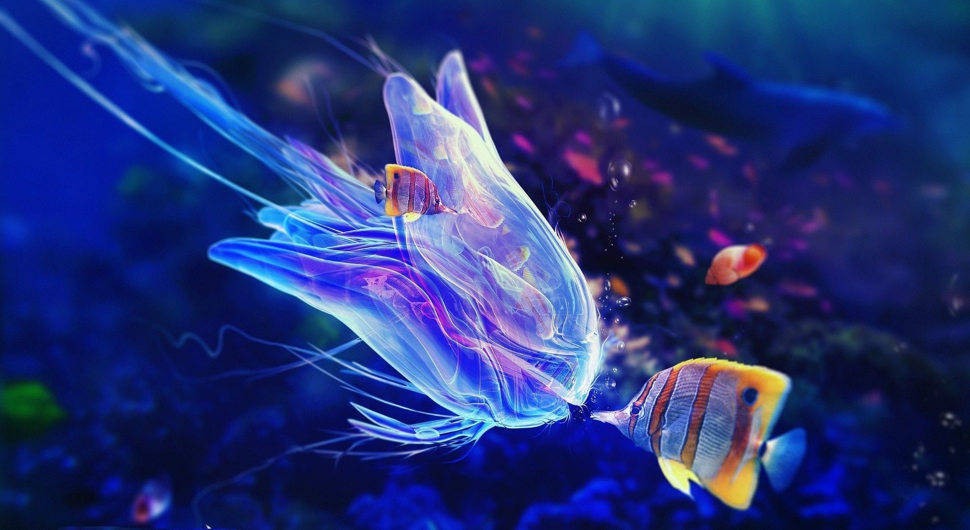 Fish and jellyfish