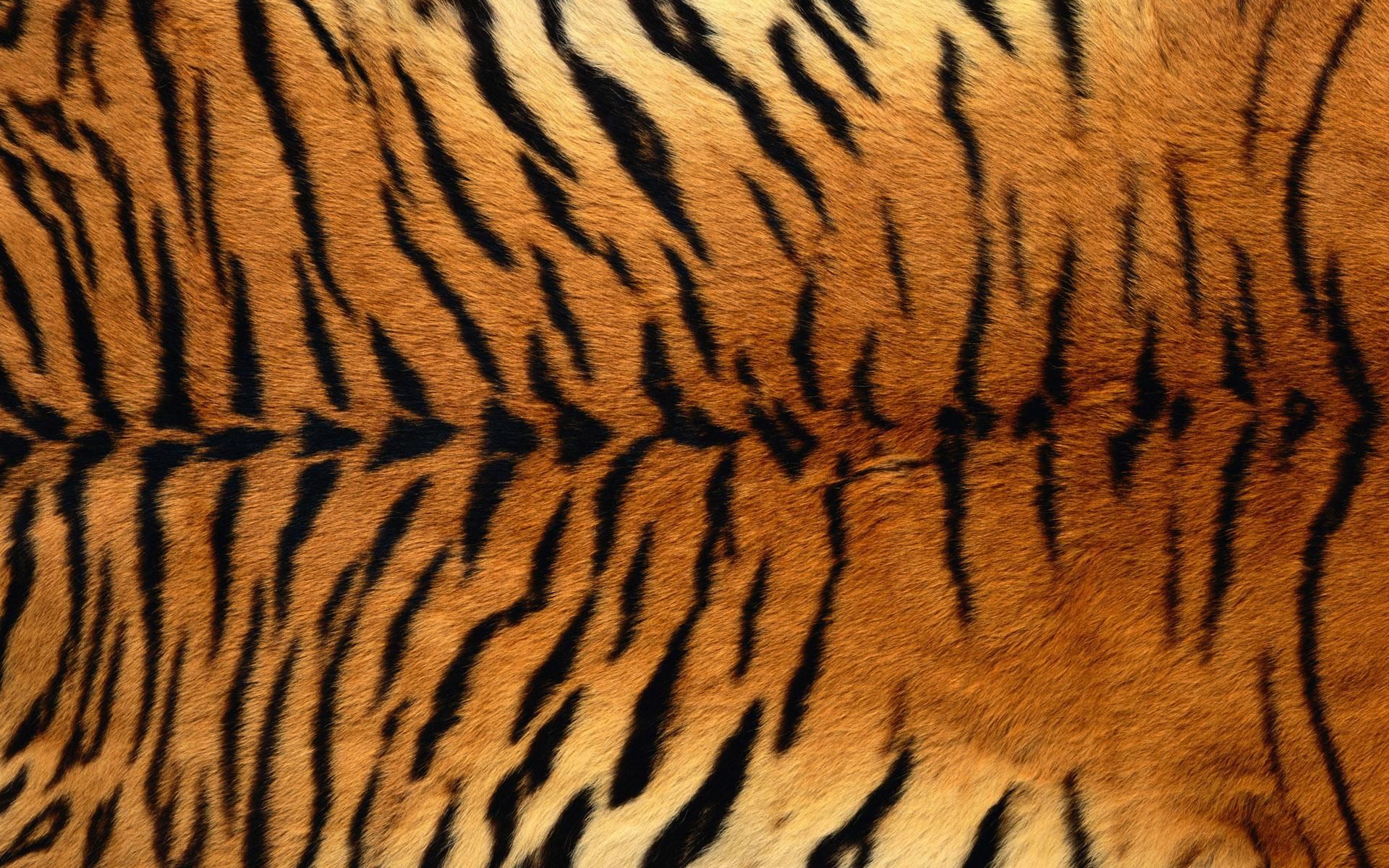 Tiger Skin Wallpaper Hd