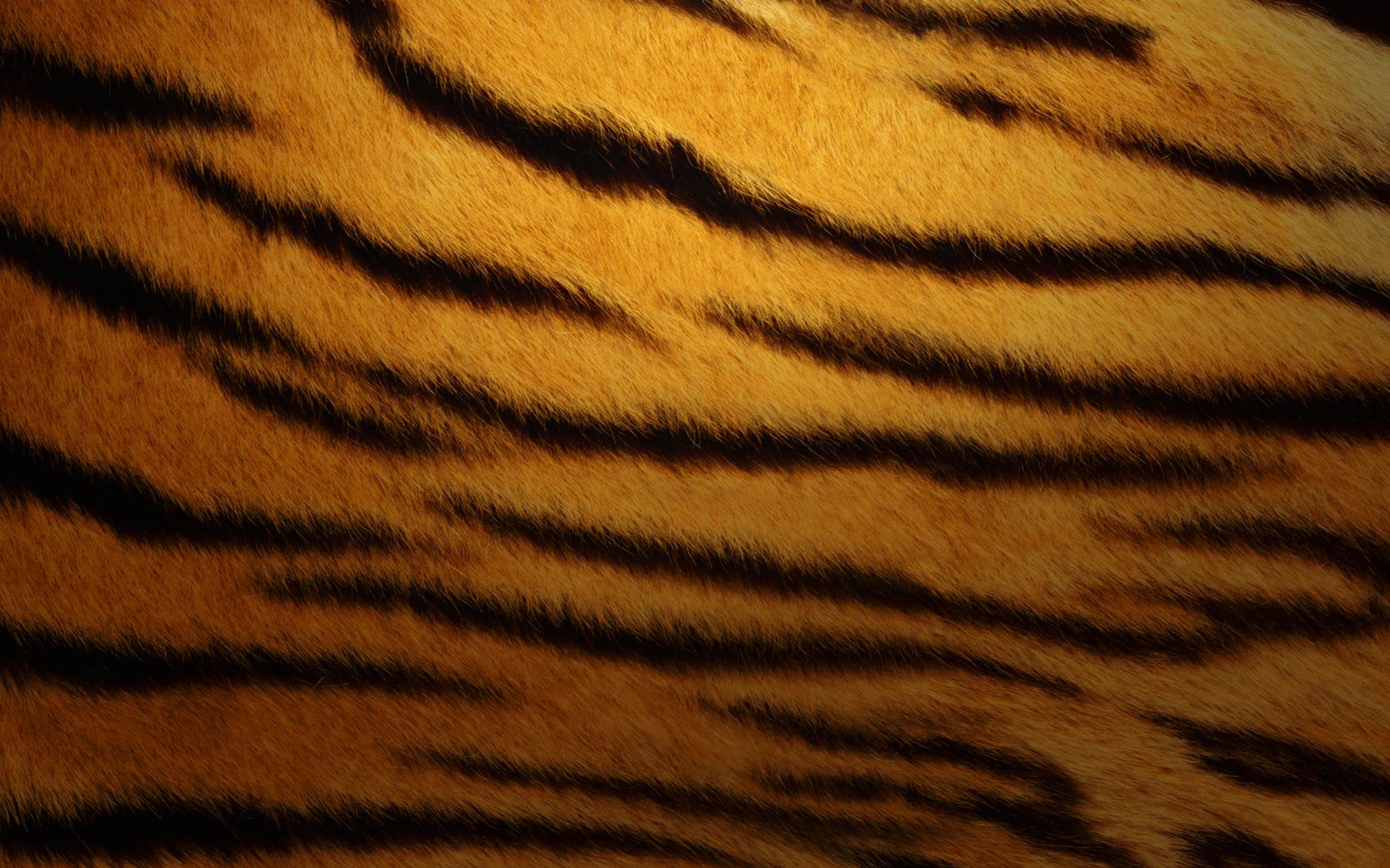 Tiger Skin Wallpaper
