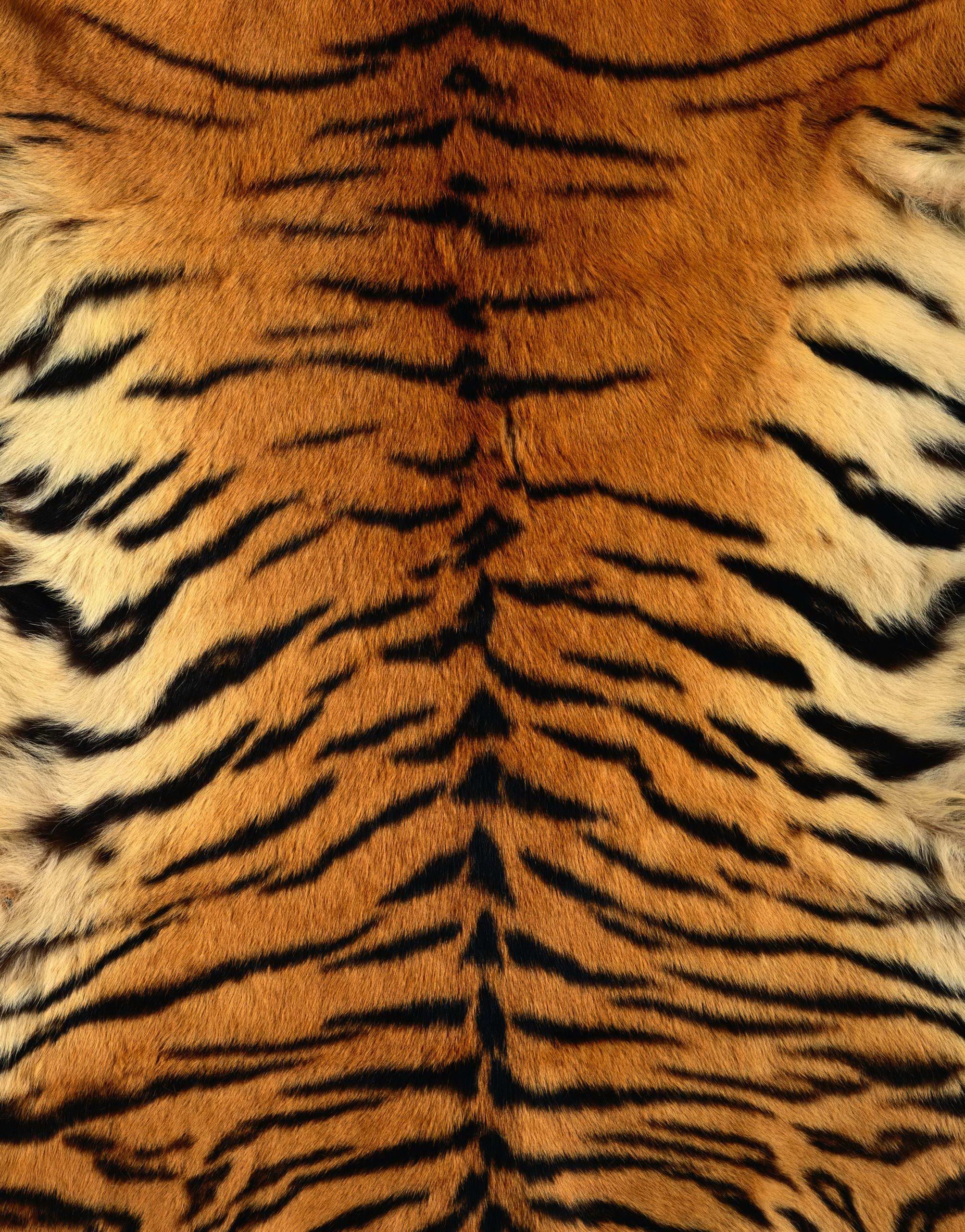 tiger skin print, Tiger skin, Animal skin