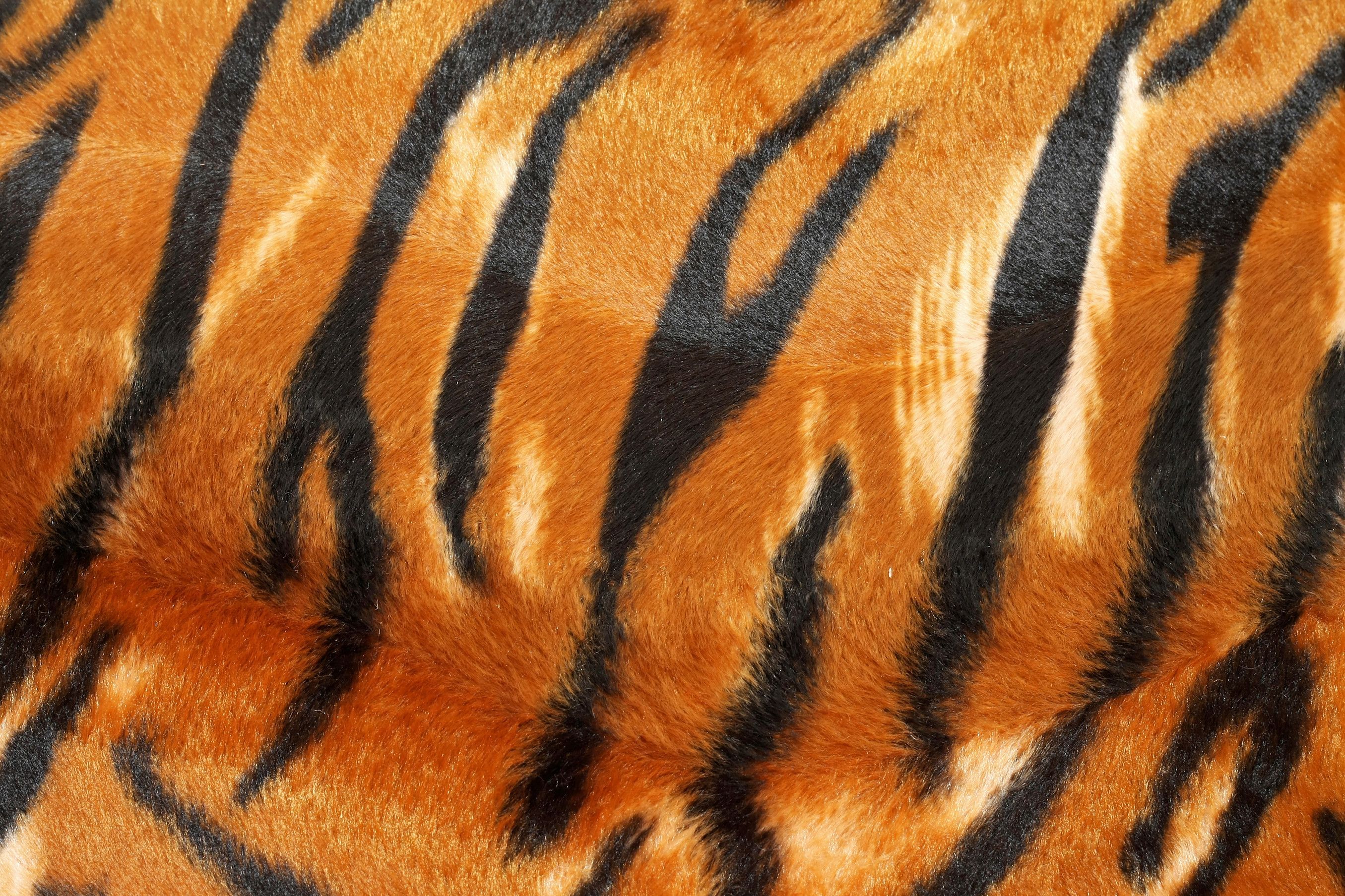 Tiger Skin Backgrounds