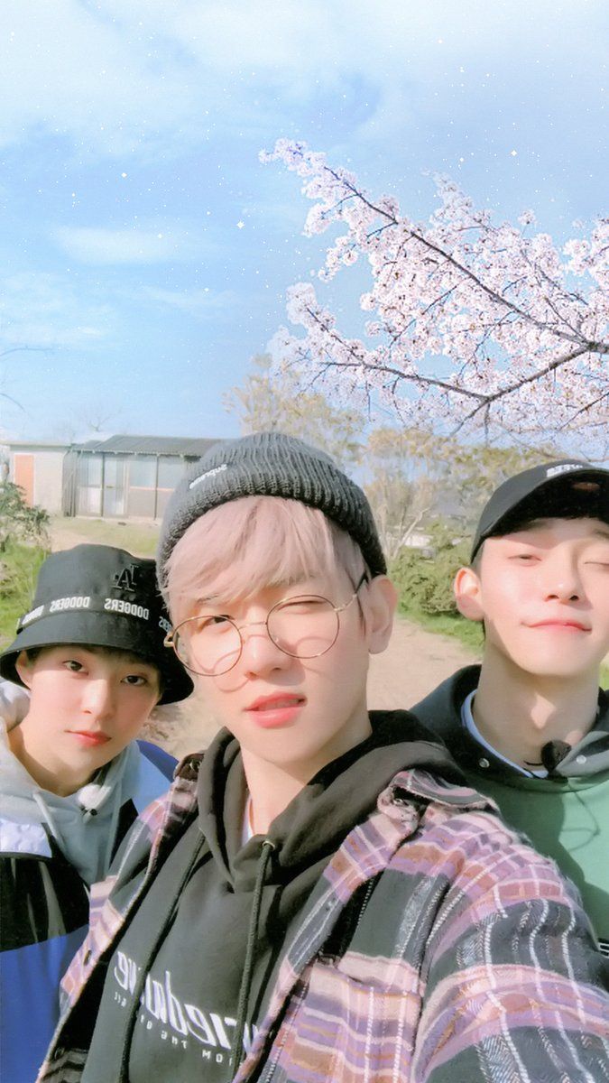 kpop, chen, xiumin and exo