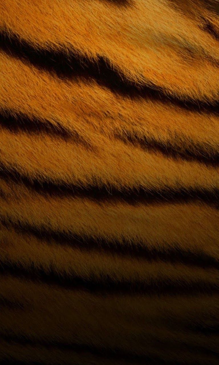 Galaxy Note HD Wallpaper: Tiger Skin Pattern Galaxy Note HD Wallpaper