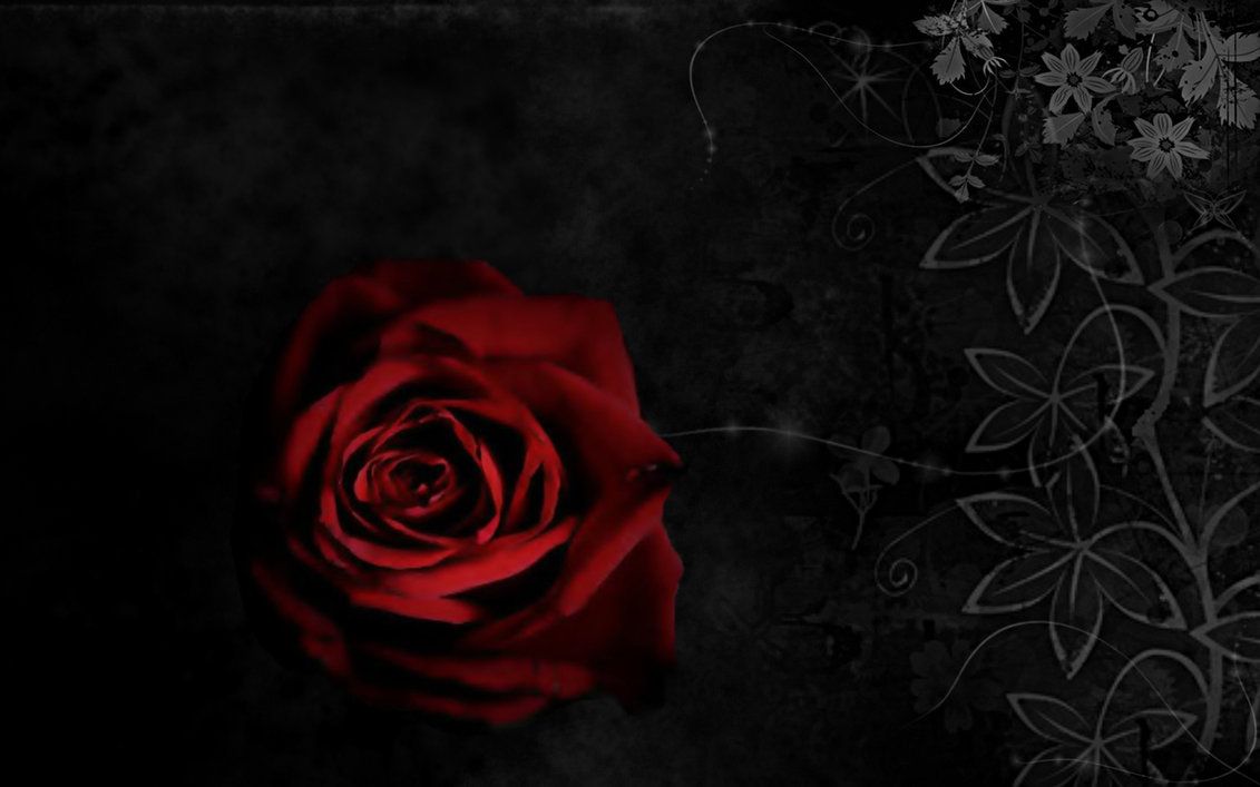 Red rose in gothic hallway blood by xRebelYellx on DeviantArt
