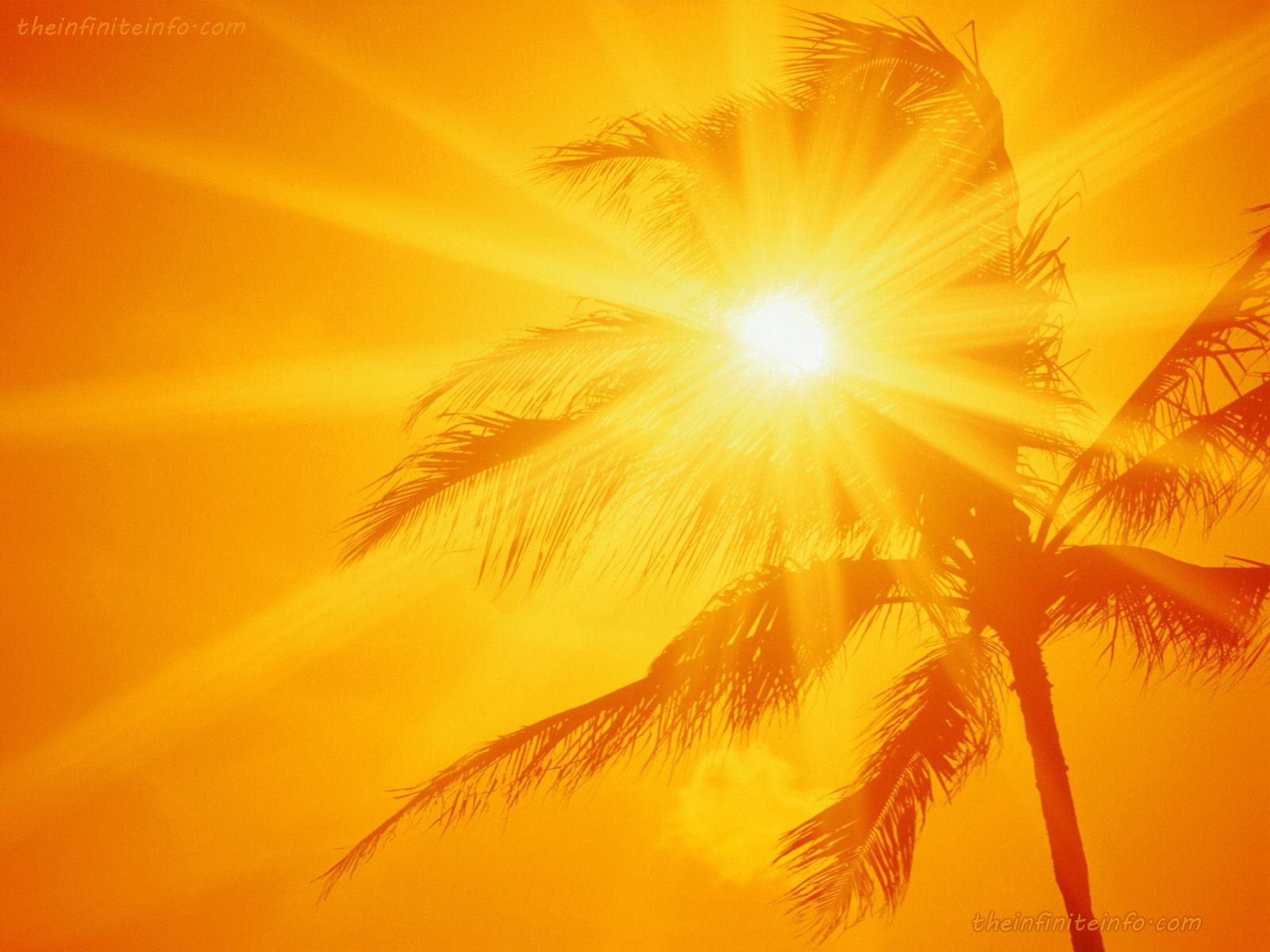 Best 33+ Sunshine Backgrounds on HipWallpapers