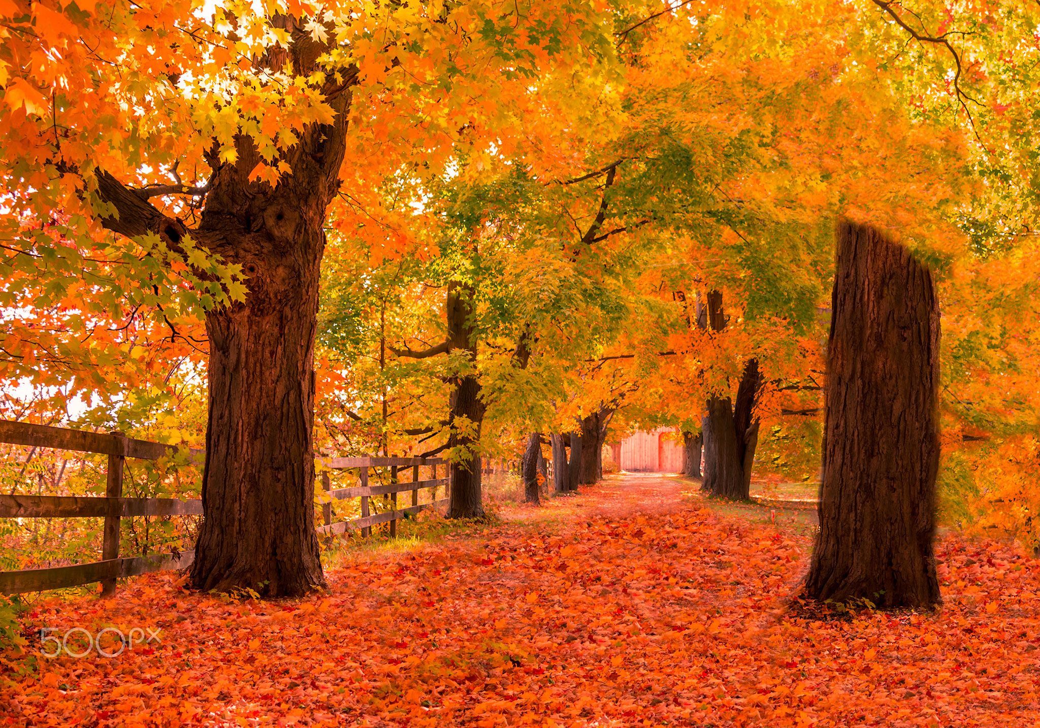 Windows Autumn Wallpapers - Wallpaper Cave