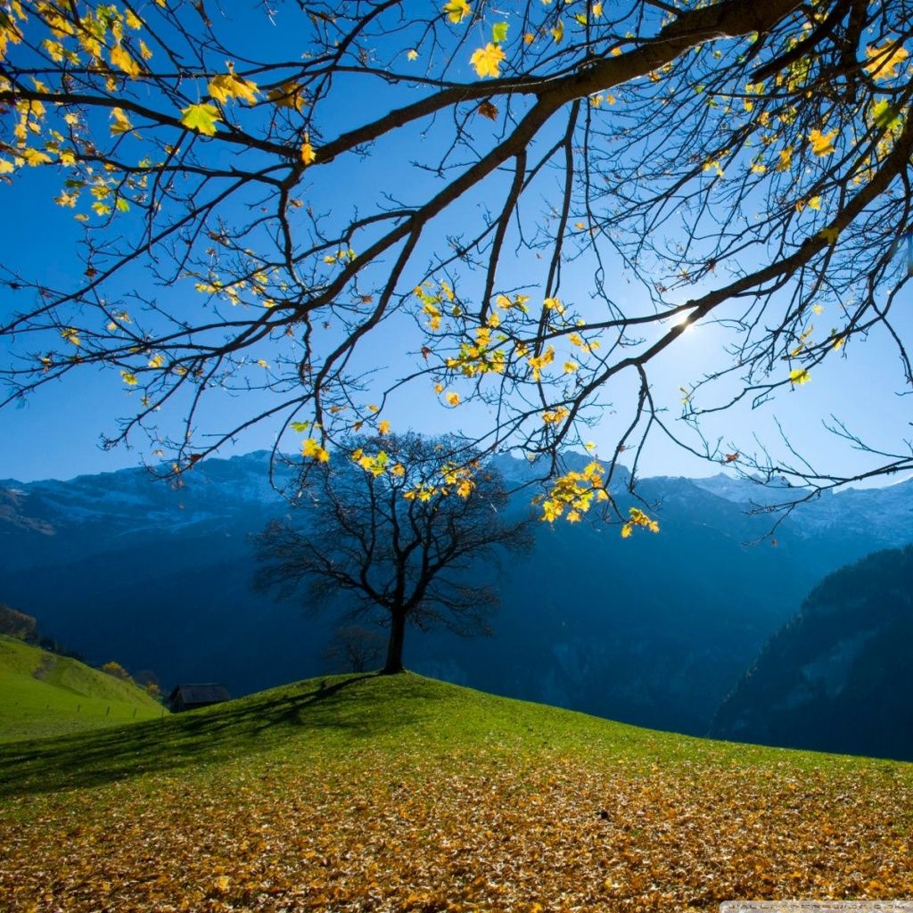 Autumn, Schachental, Switzerland Ultra HD Desktop Background