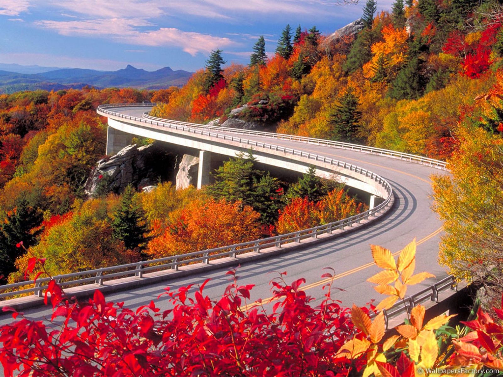 the autumn comes to highway wallpaper and image, picture, photo