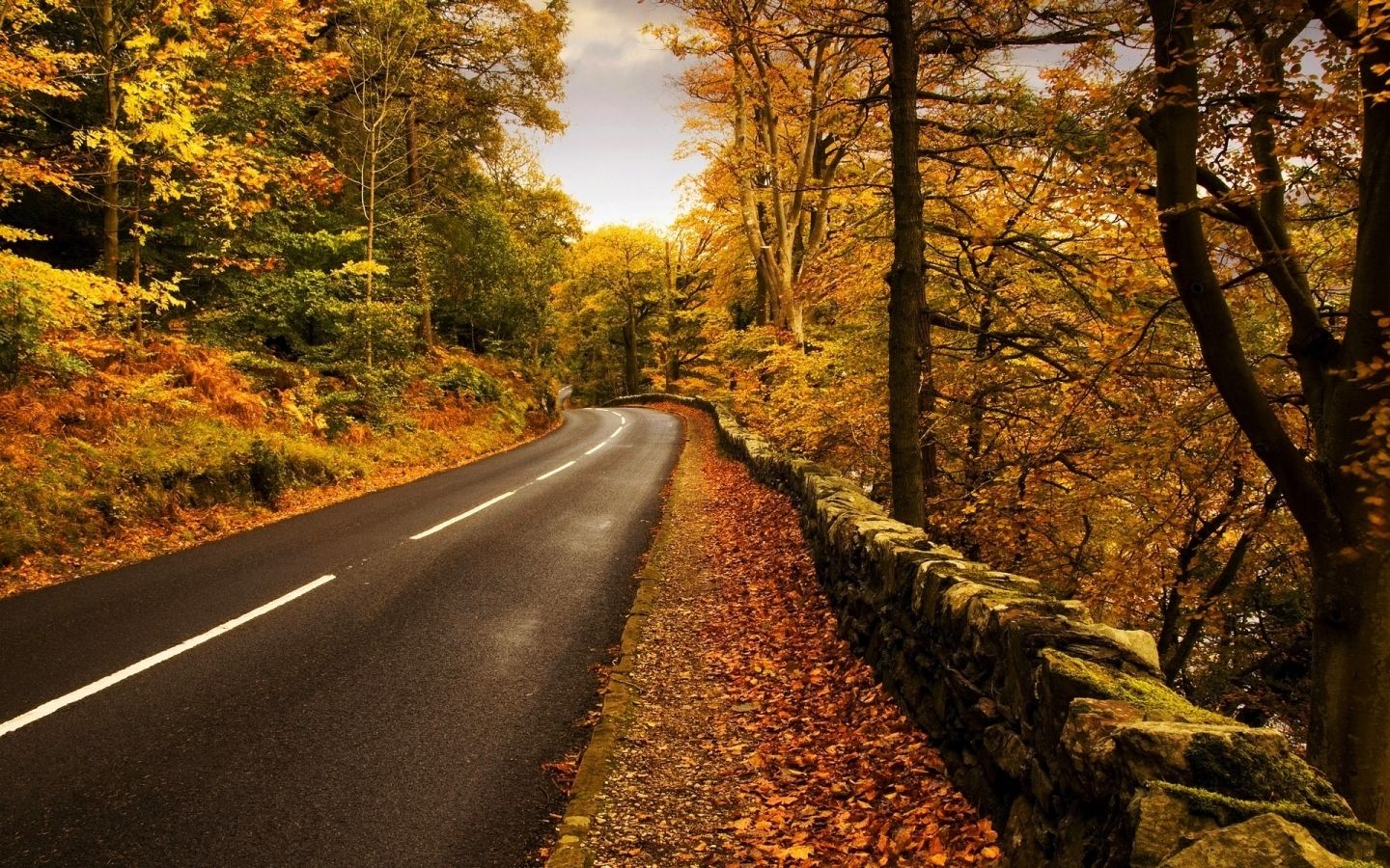 Autumn highway Mac Wallpaper Download