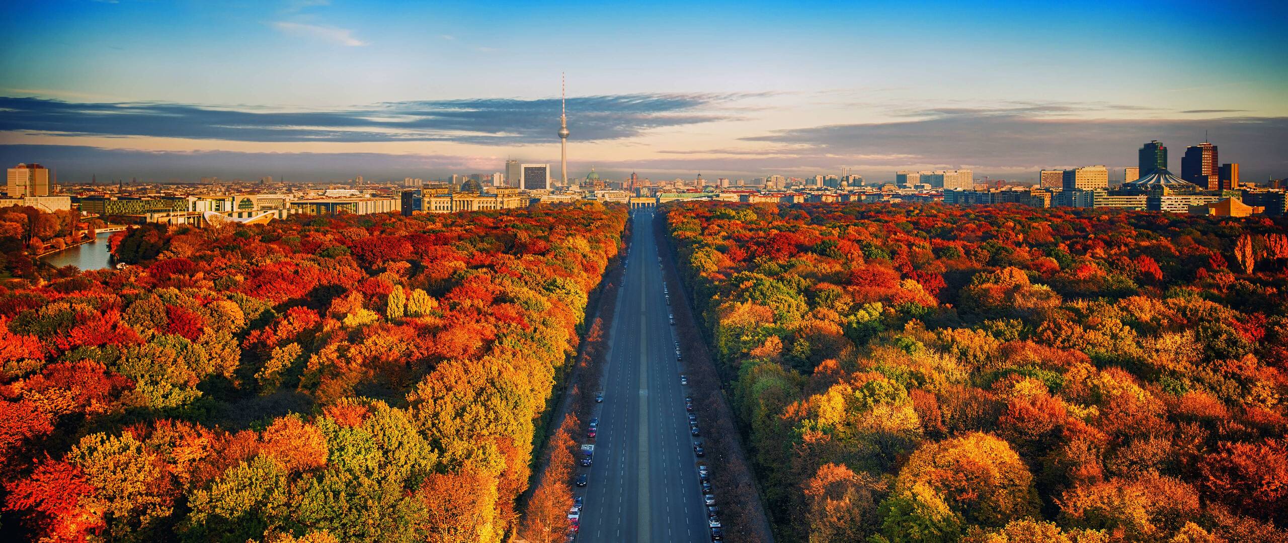 Highway through Autumn Forest 2560x1080 Resolution HD 4k Wallpaper, Image, Background, Photo and Picture