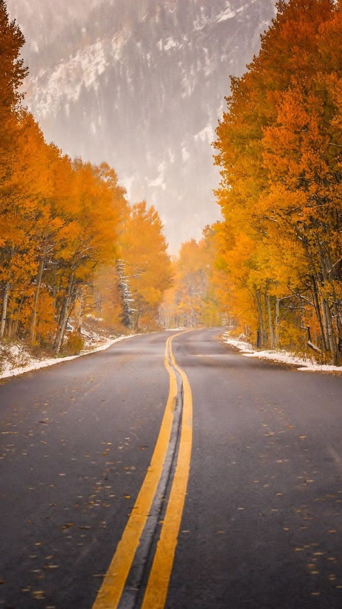 Autumn Highway Wallpapers - Wallpaper Cave