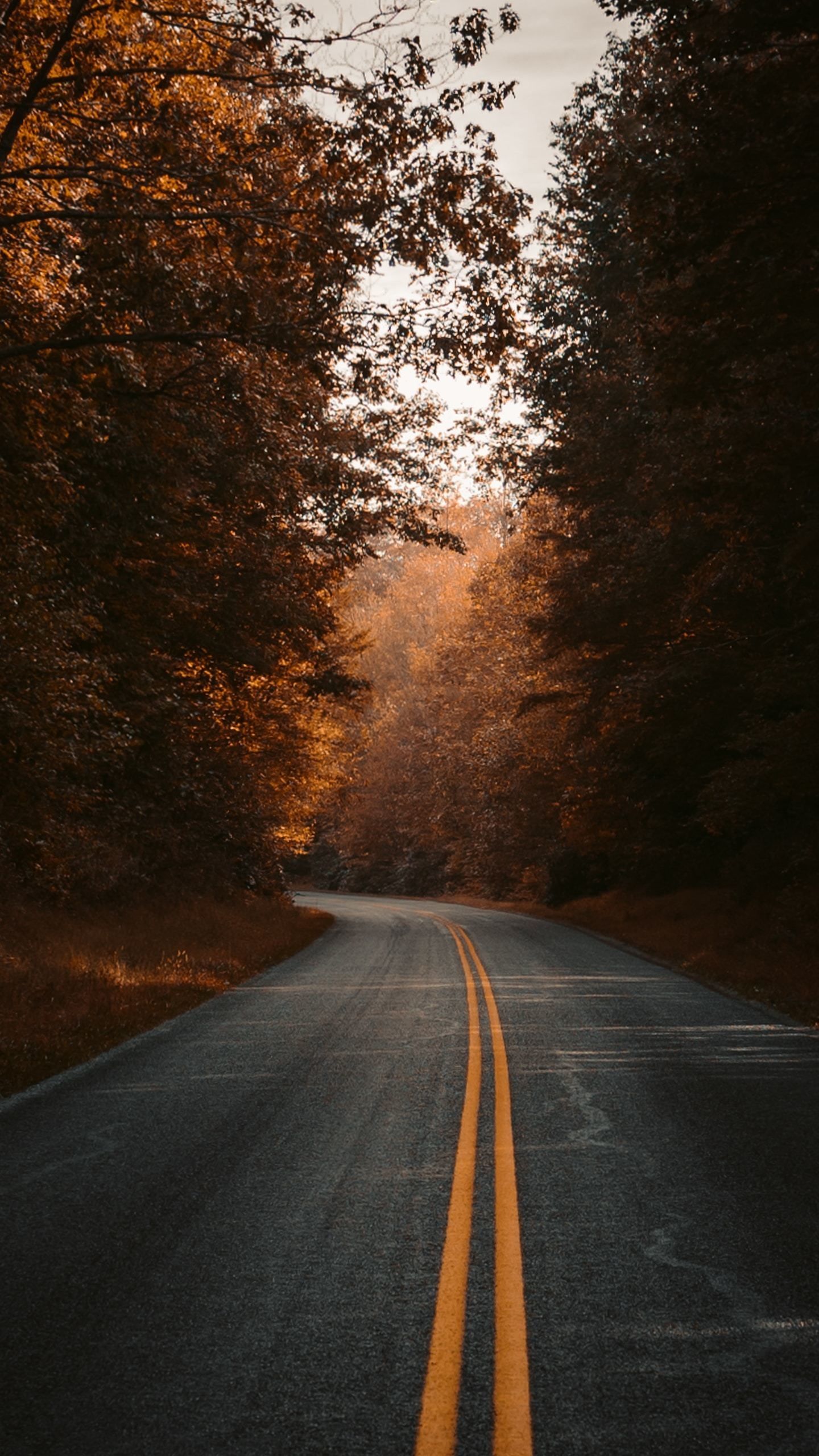 Fall, road, highway wallpaper. Autumn road, Nature photography, Fall wallpaper