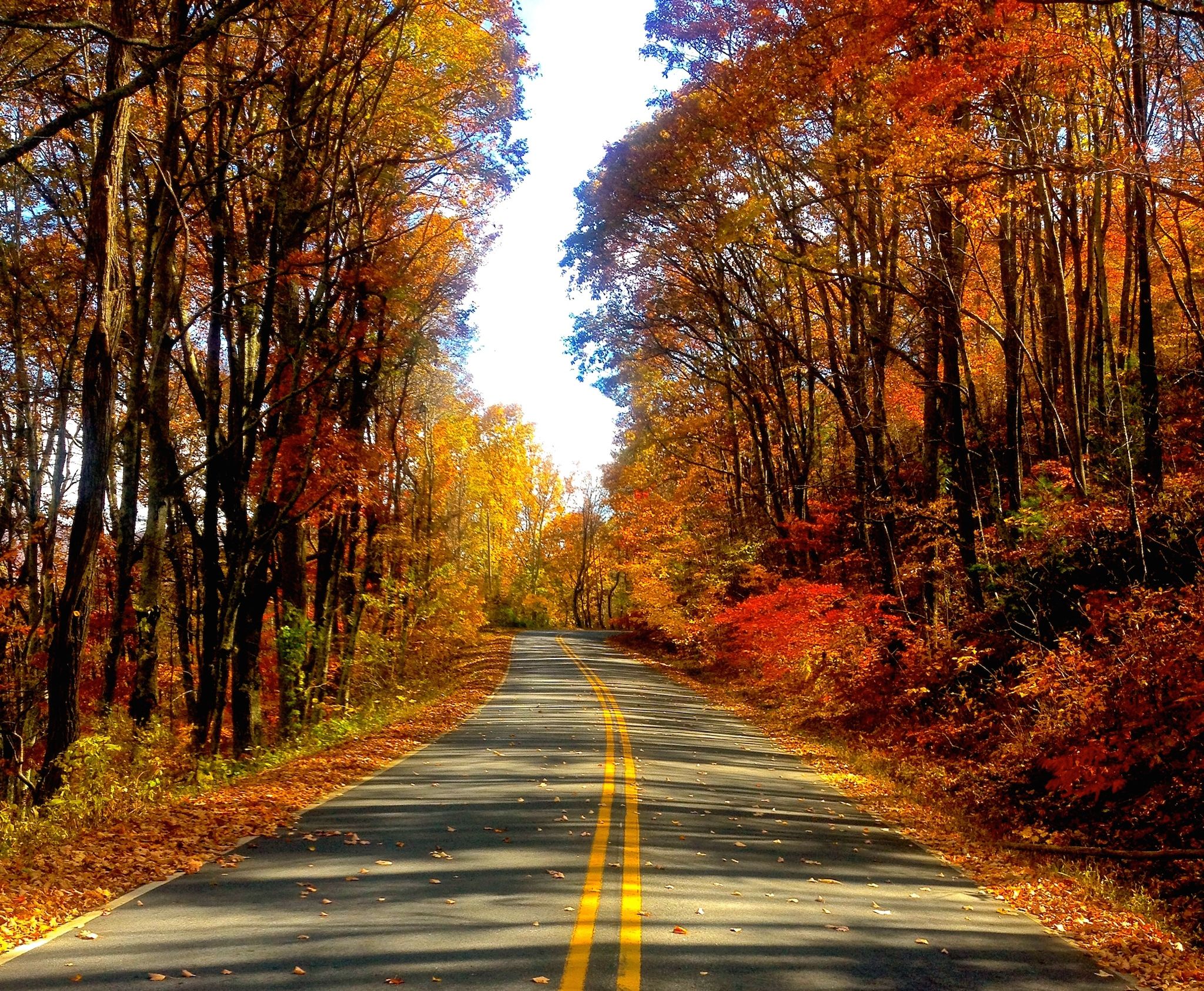 autumn road desktop backgrounds