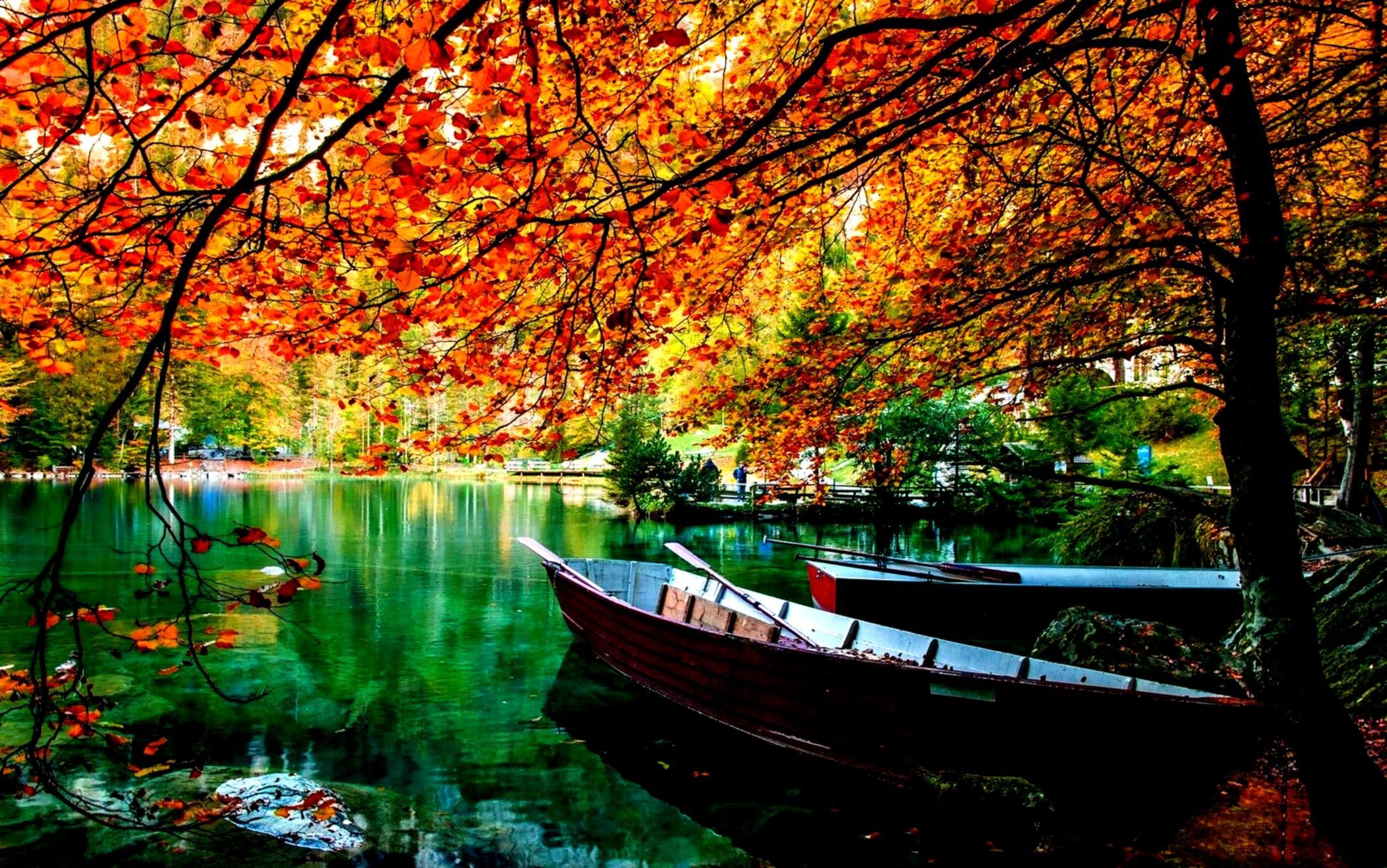 hdwallpaper #wallpaper #landscape #surround #desktop #leaves