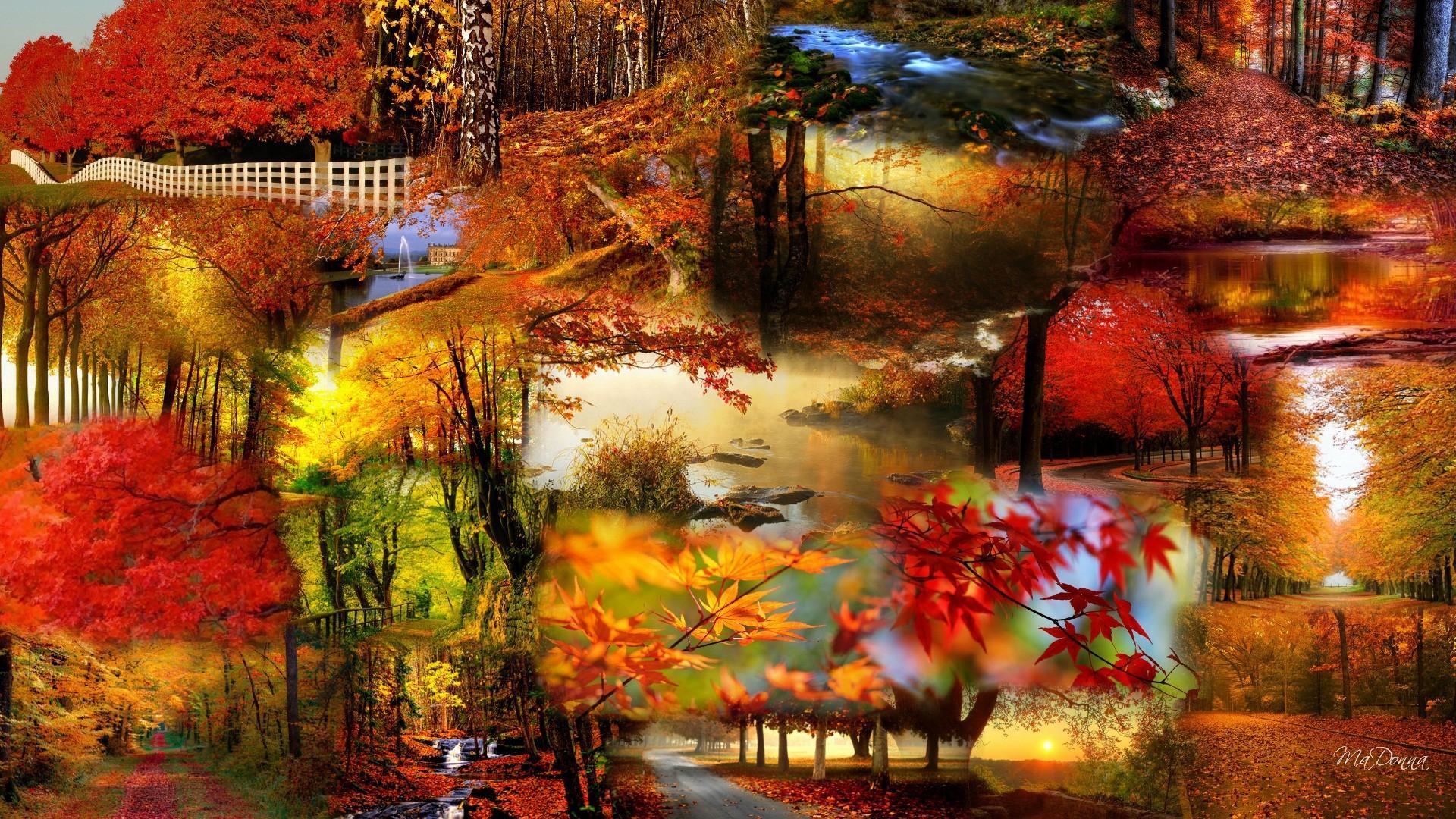 Bright Autumn Collage HD desktop wallpaper, Widescreen, High