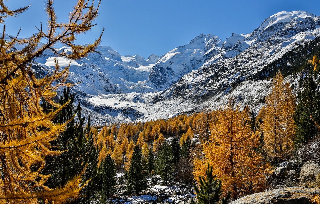 Wallpaper autumn, trees, mountains, Switzerland, Alps, Switzerland