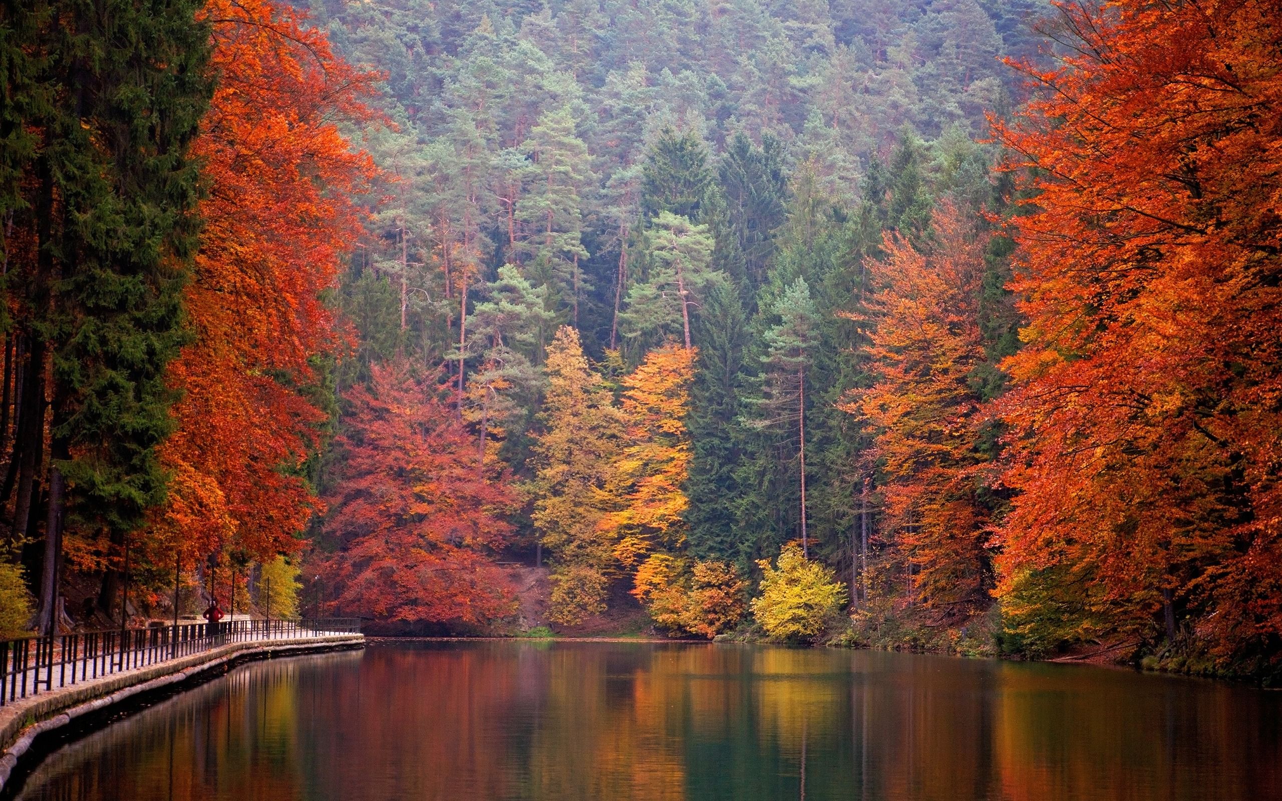 Download wallpaper mountain lake, Alps, autumn, forest, mountains