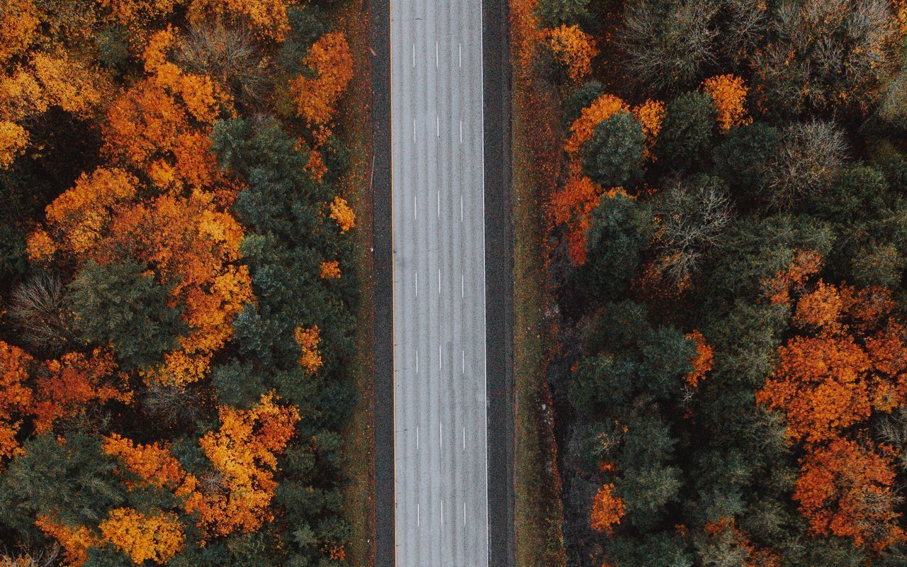 Download wallpaper 1280x800 road, forest, aerial view, highway, trees, autumn widescreen 16:10 HD background