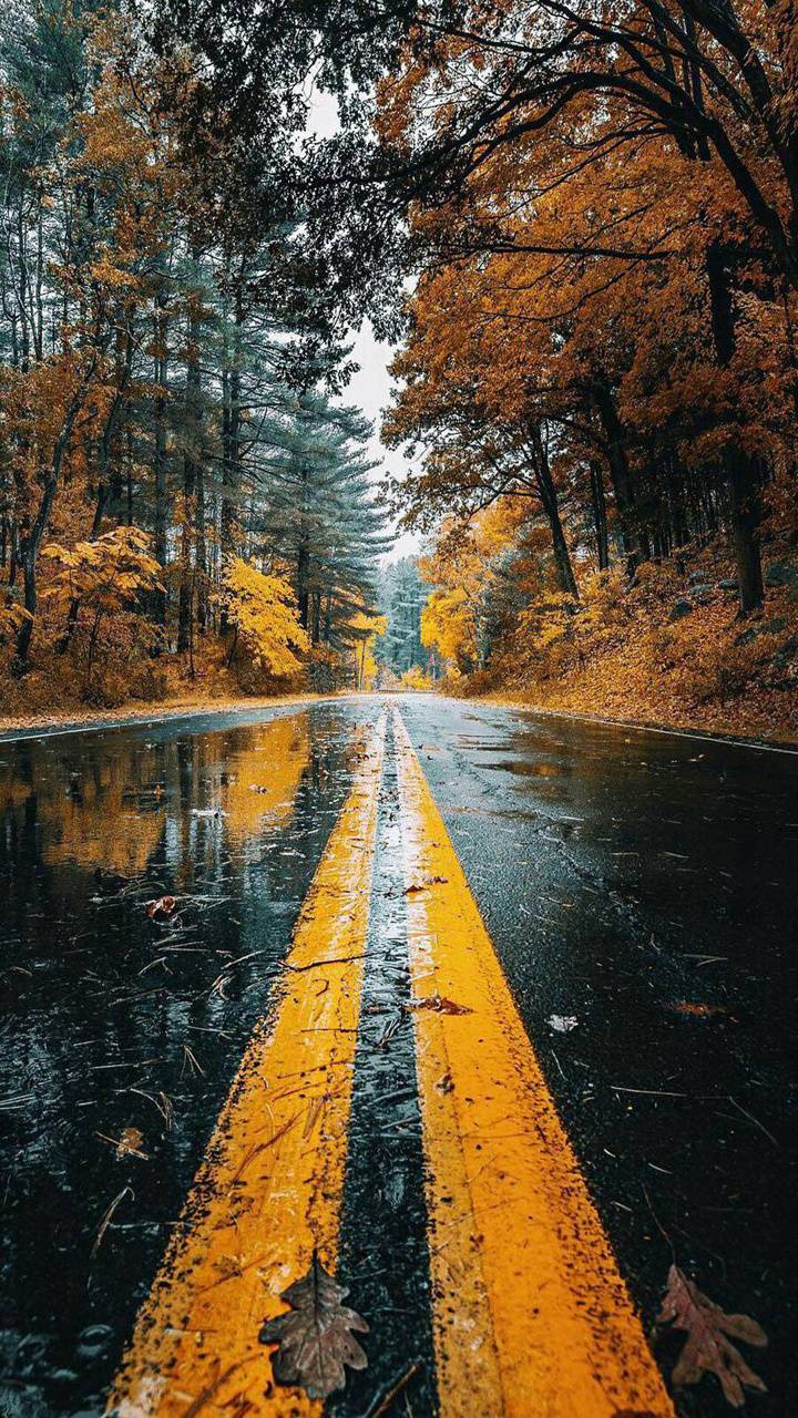Wallpaper HD wallpaper