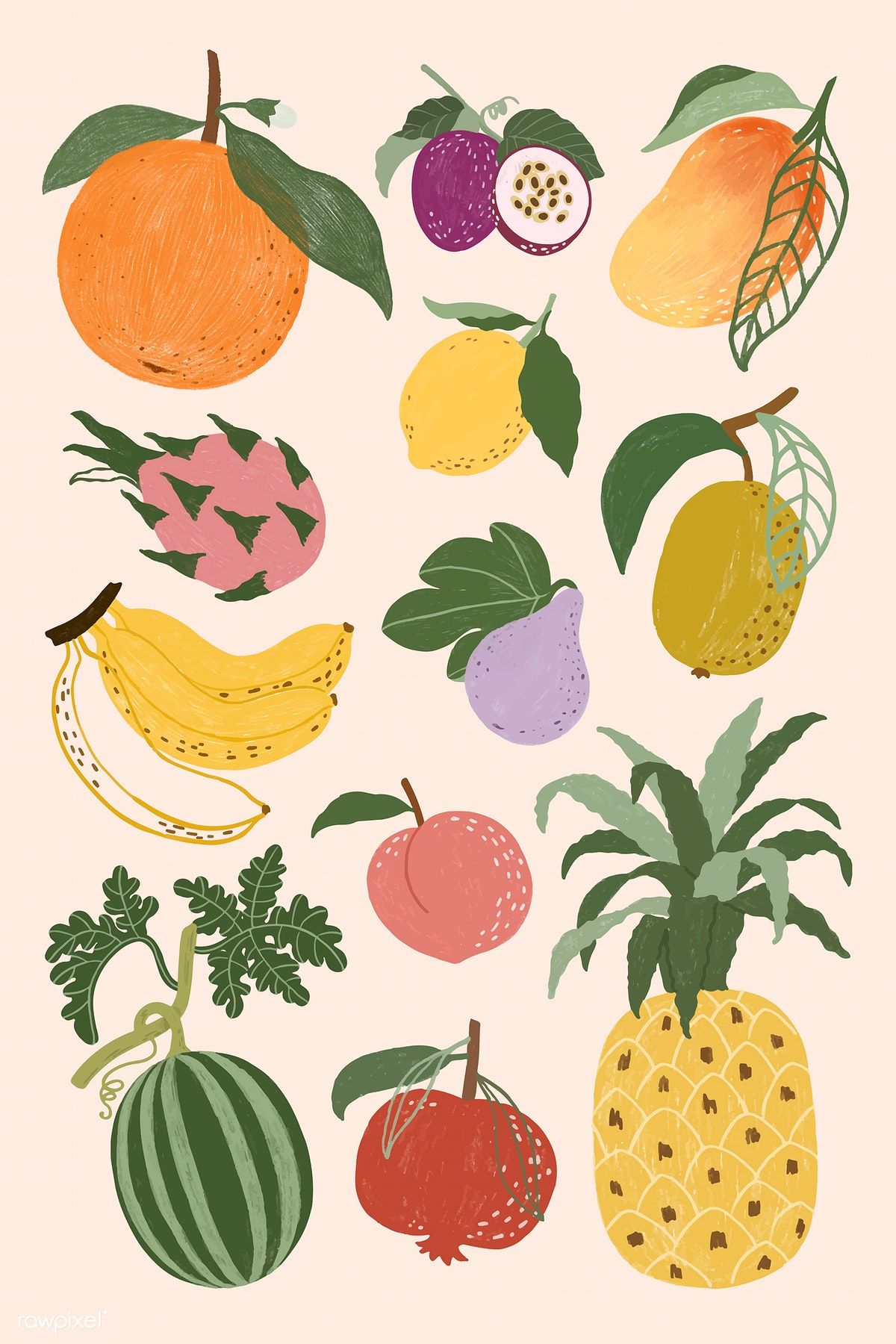 Download premium vector of Hand drawn fruits design resource pack