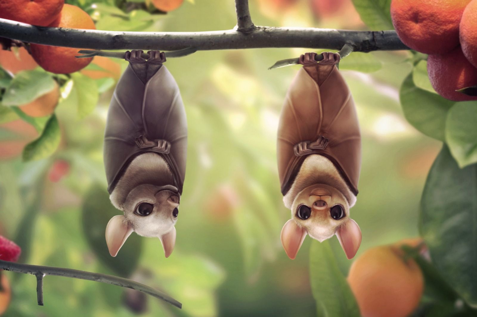Fruit bats Picture (2d, cartoon, bats). Fruit cartoon, Cartoon faces, Animal wallpaper